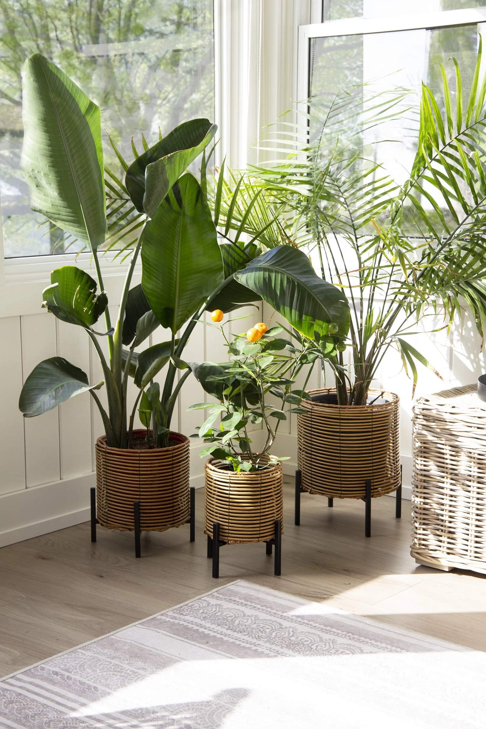 Toronto-food-product-photography-styling-rattan pots.jpg
