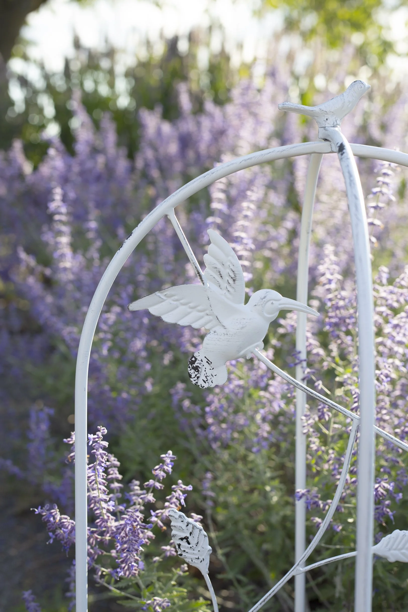 Lifestyle & Product: Prince Edward County