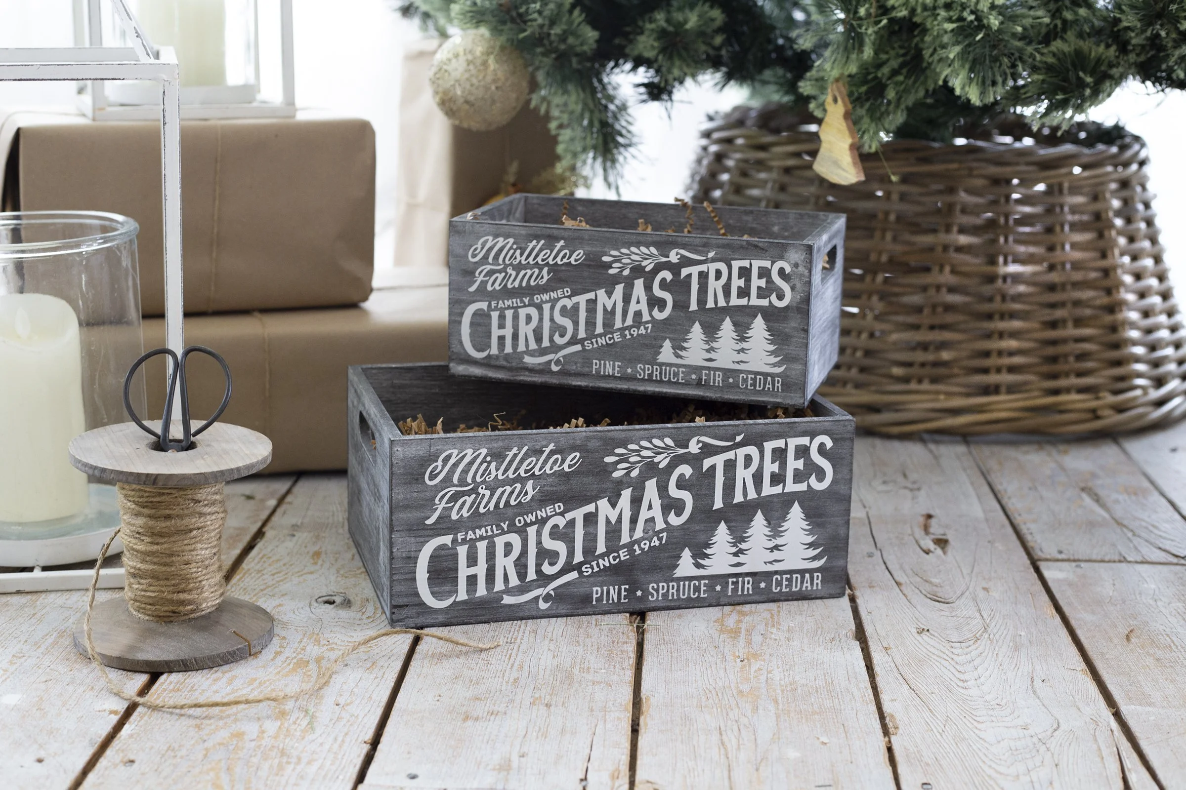 Christmas Trees lg.jpg