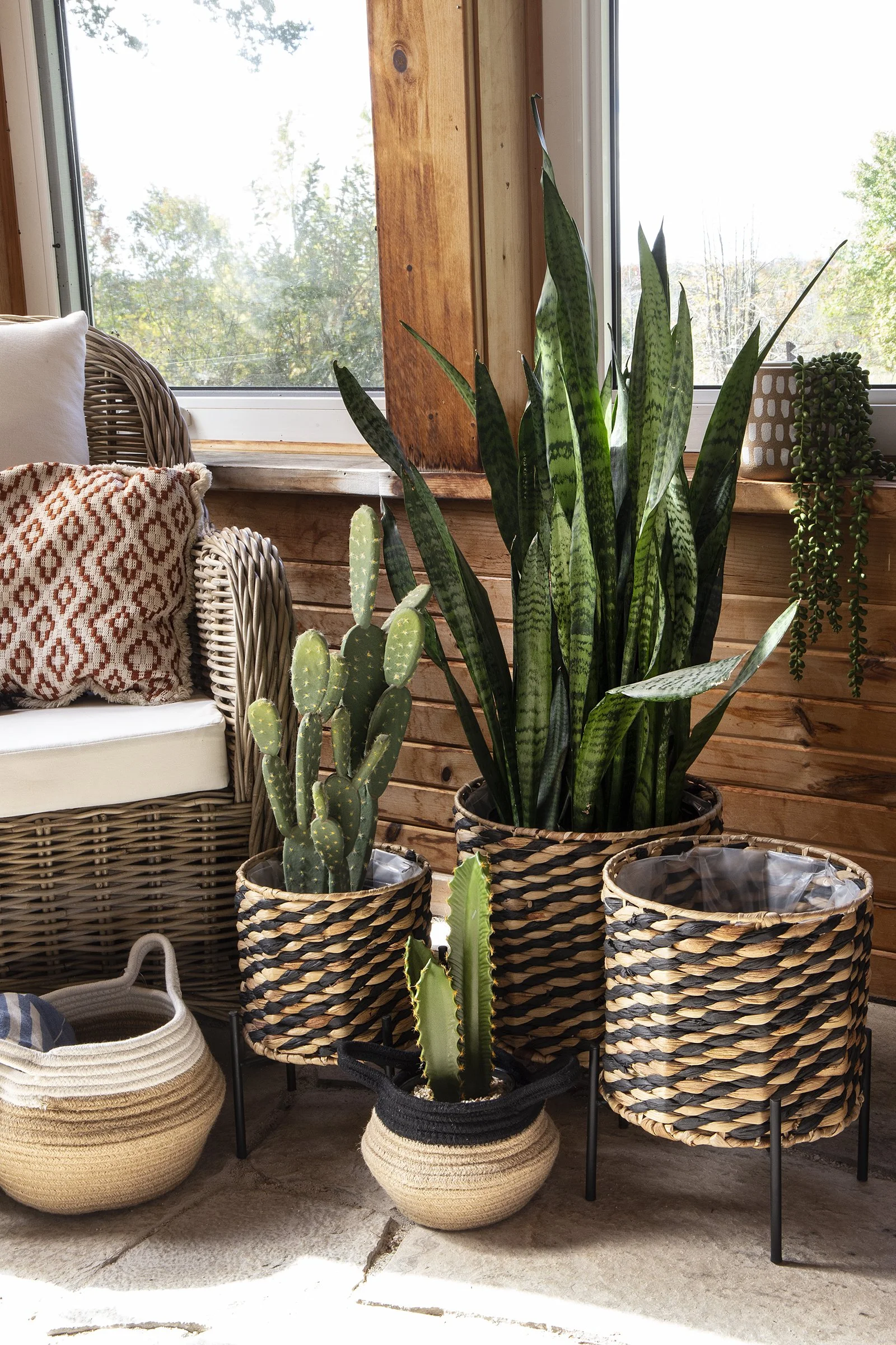 blk plant stand copy.jpg