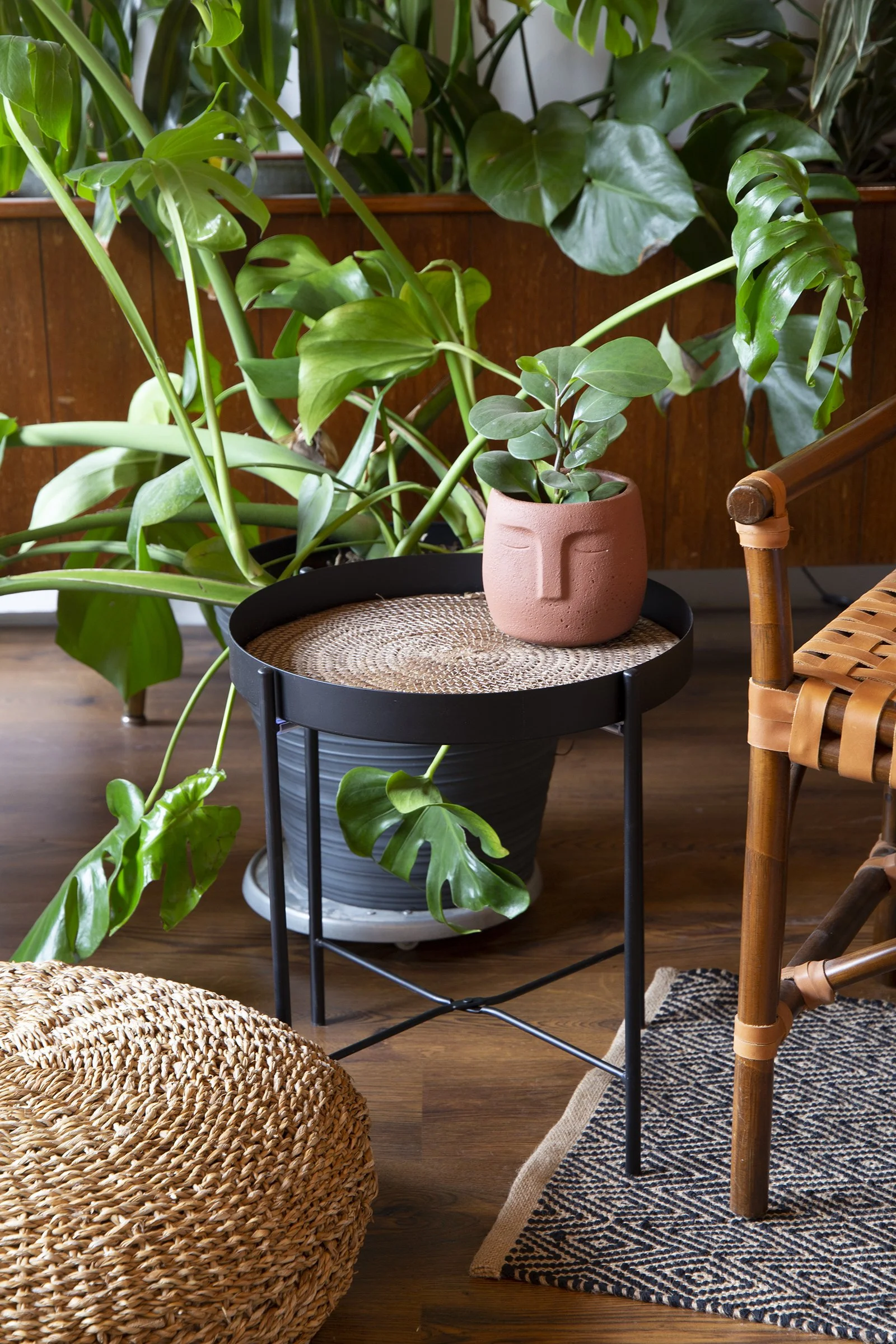 Toronto-food-product-photography-styling-pot head copy.jpg