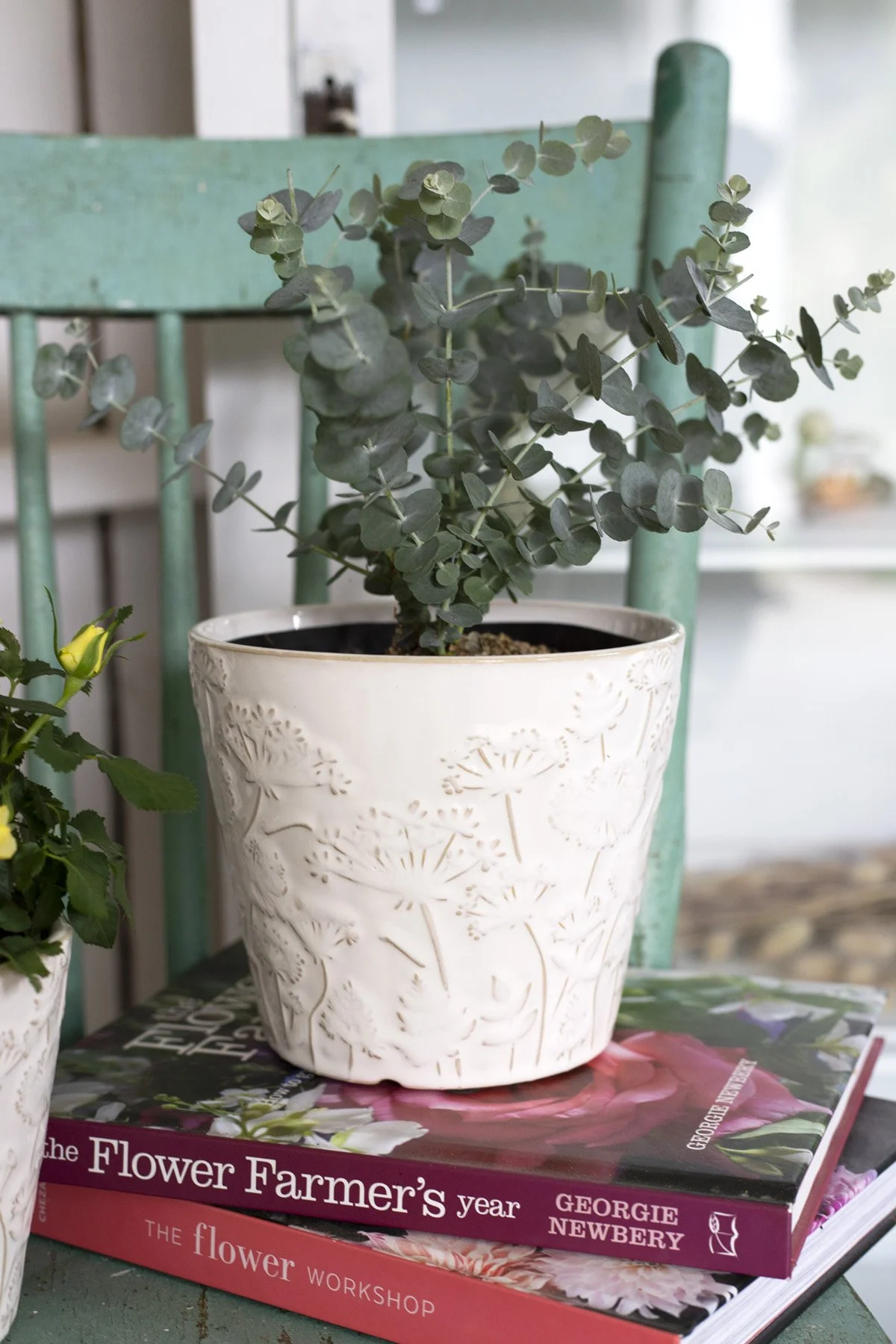 Toronto-food-product-photography-styling-queen ann's lace pot 1.jpg