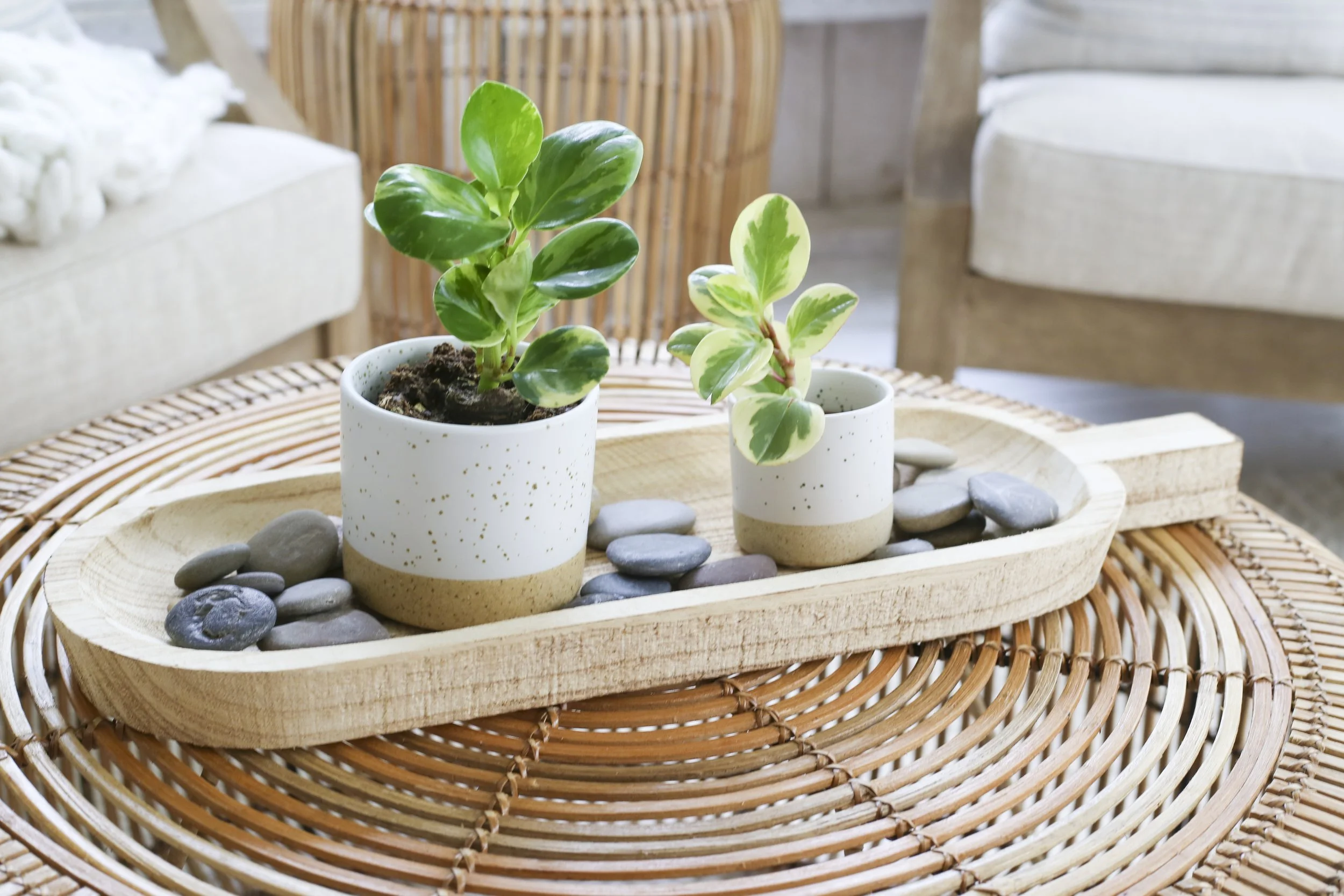 Toronto-food-product-photography-styling-wicker and tray.jpg