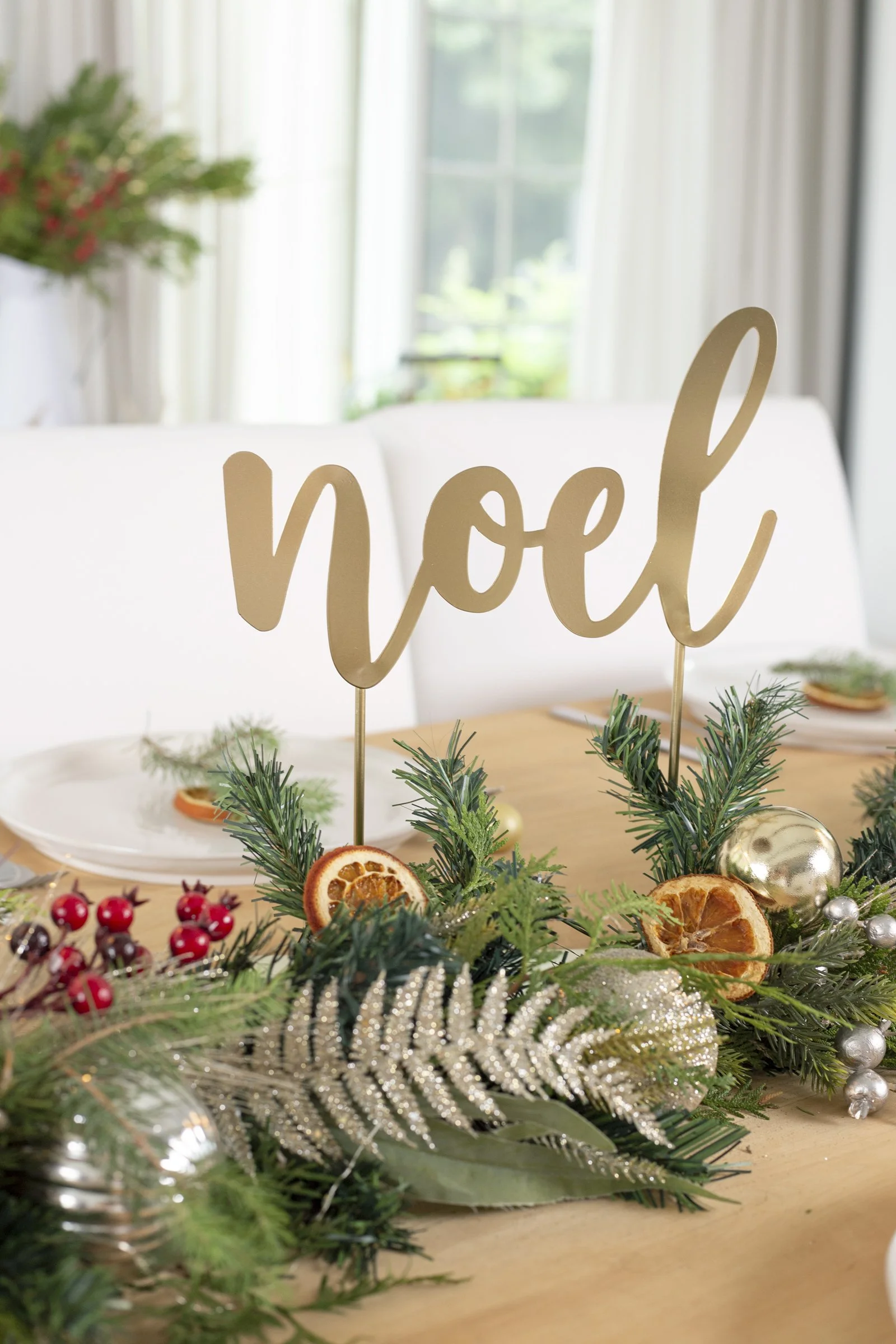 noel lg.jpg