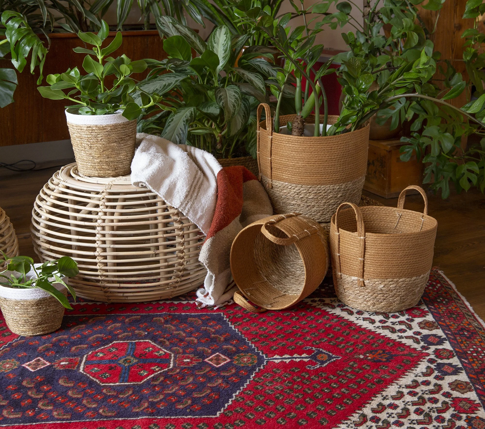 Lifestyle & Product: Moroccan