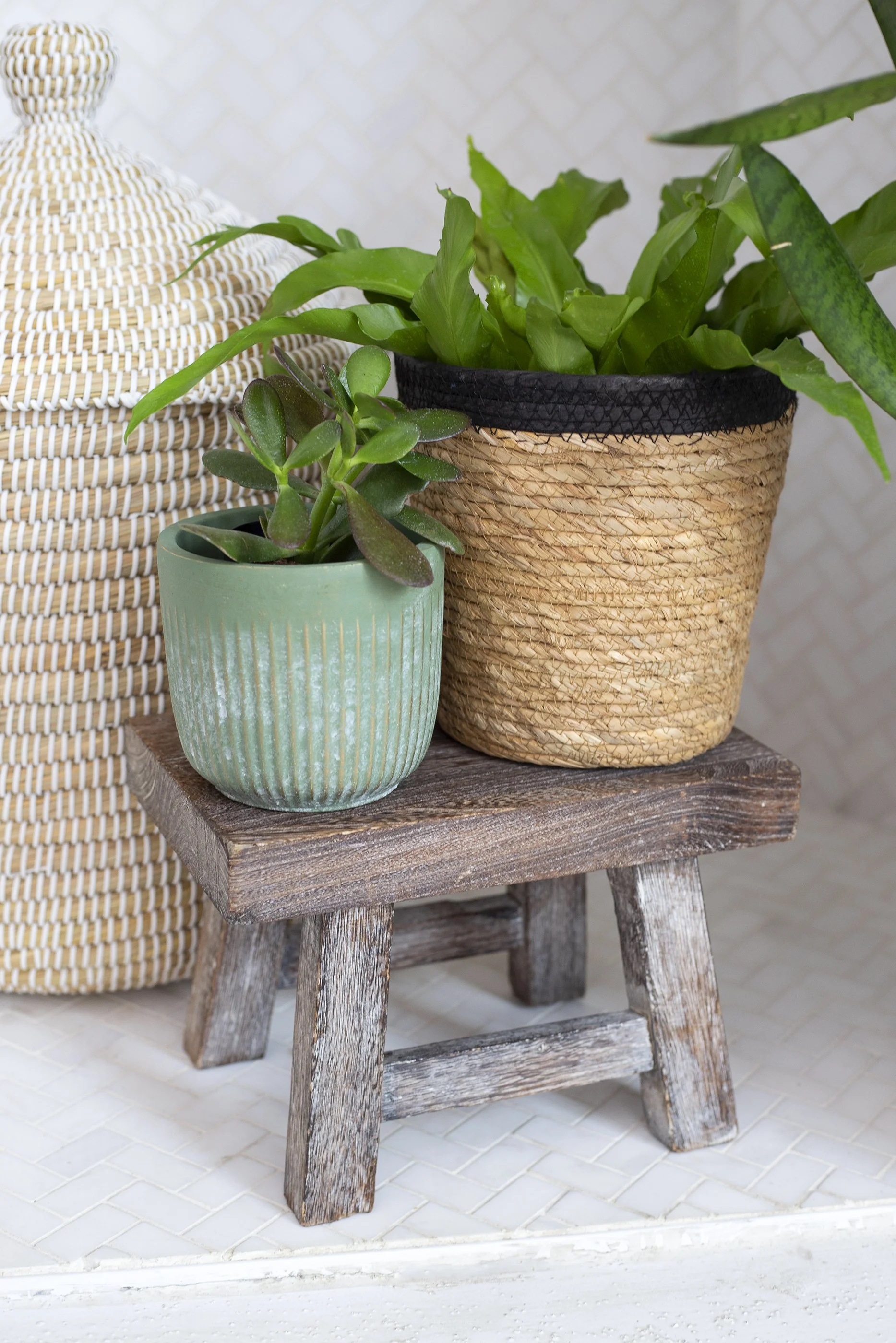 green pot blk & tan basket copy.jpg