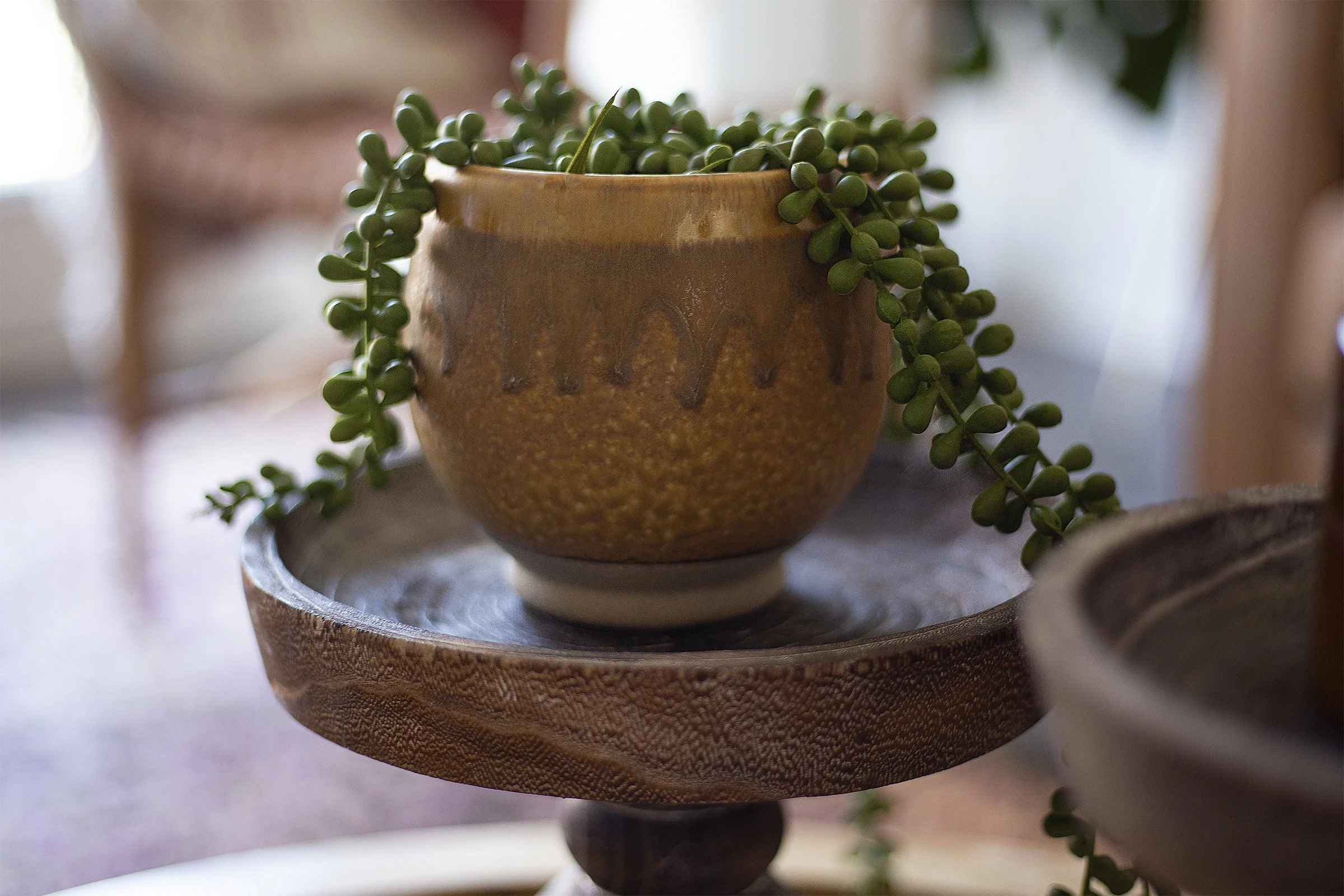 Honey Pot copy.jpg