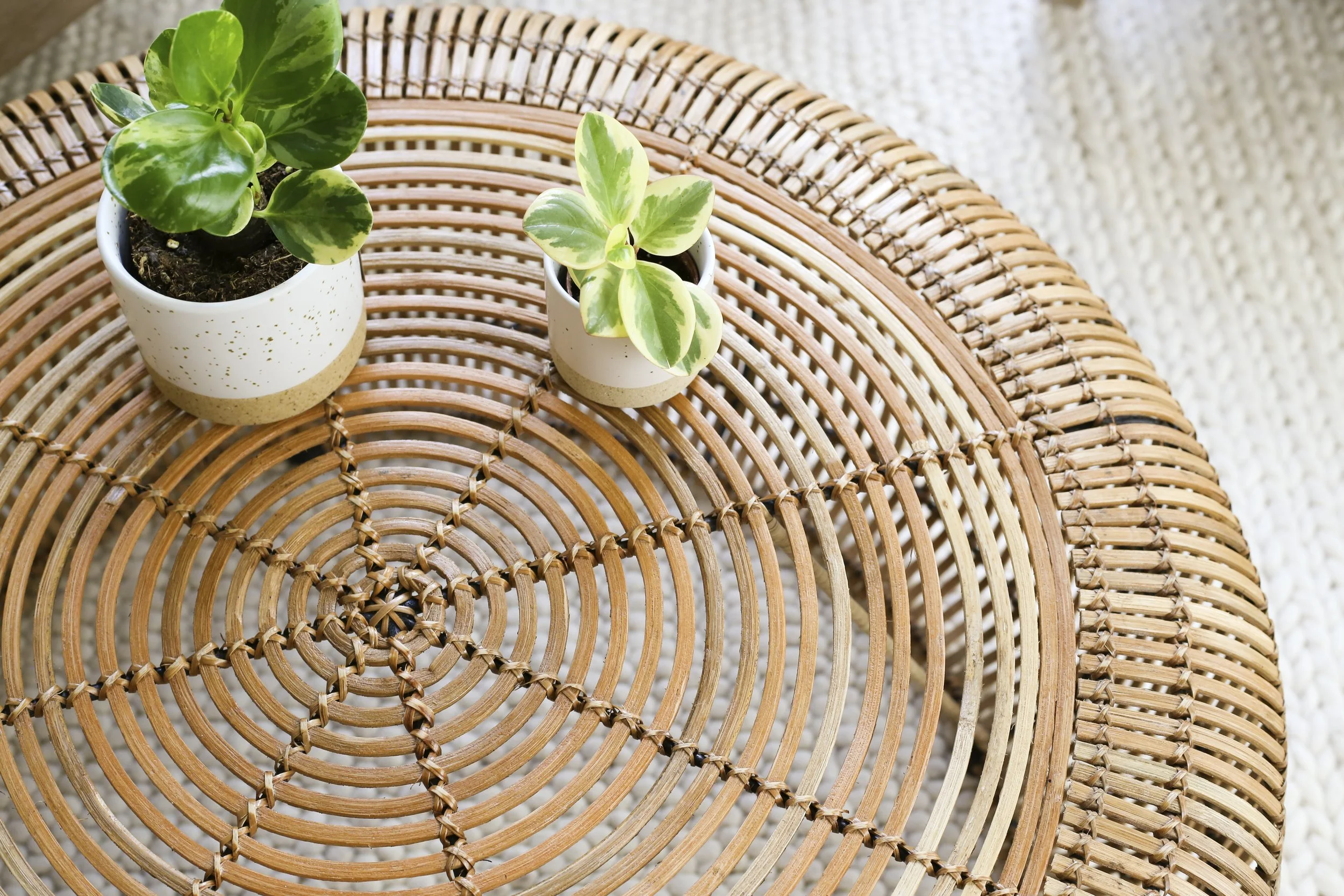 Toronto-food-product-photography-styling-wicker coffee table.jpg