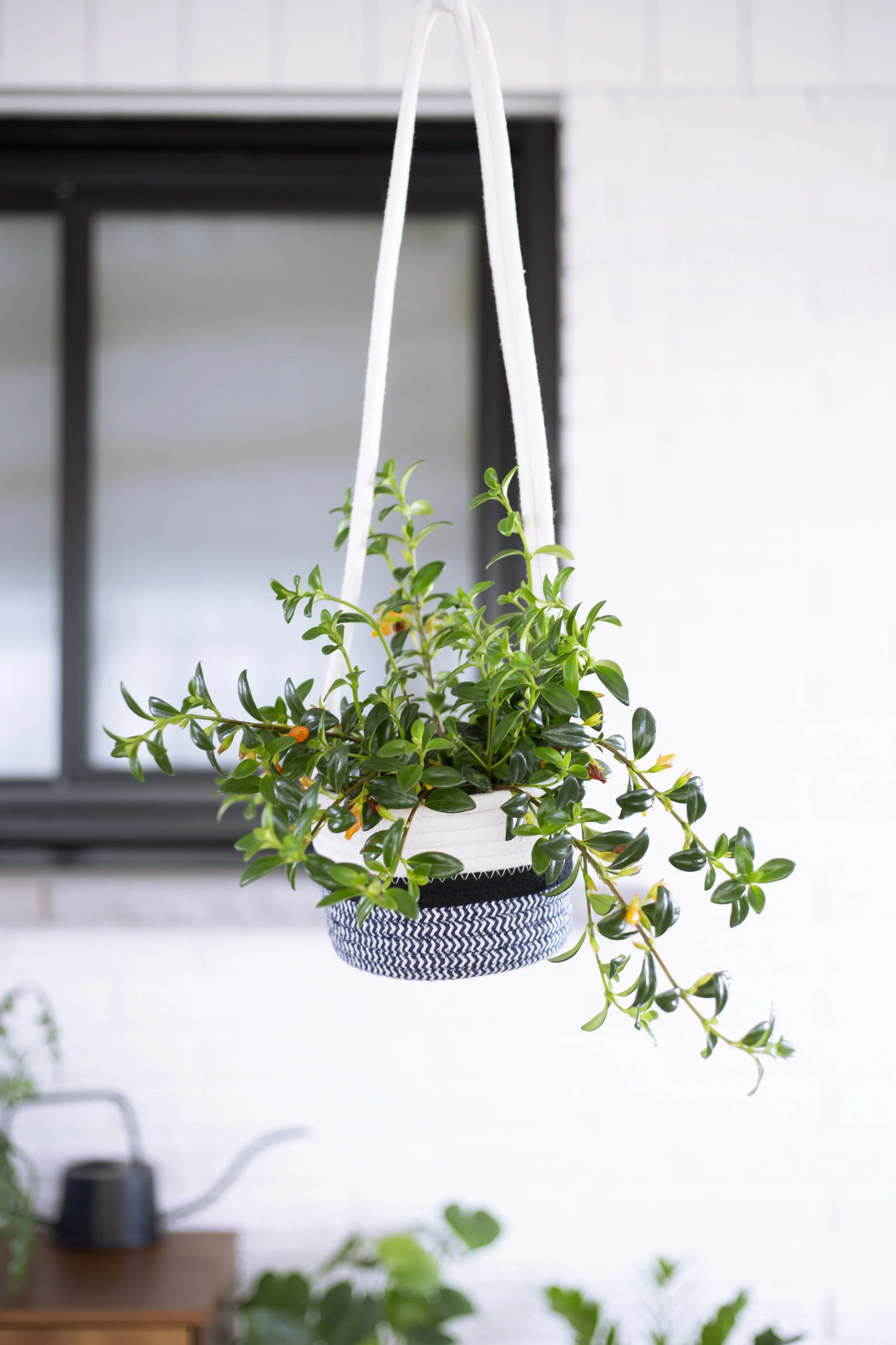 Toronto-food-product-photography-styling-hanging basket.jpg