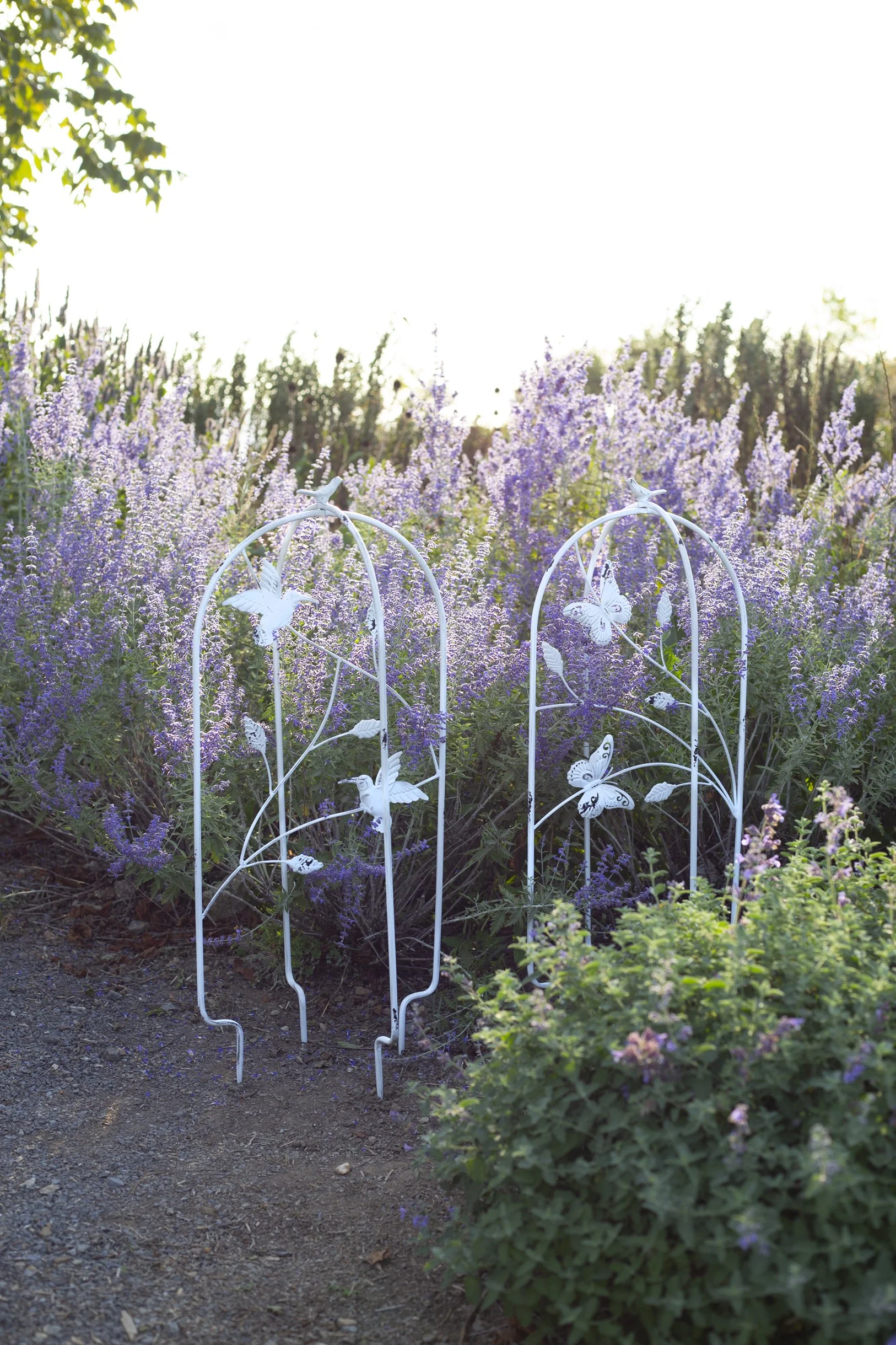 Wire Garden Stand Cressy House-3.jpg