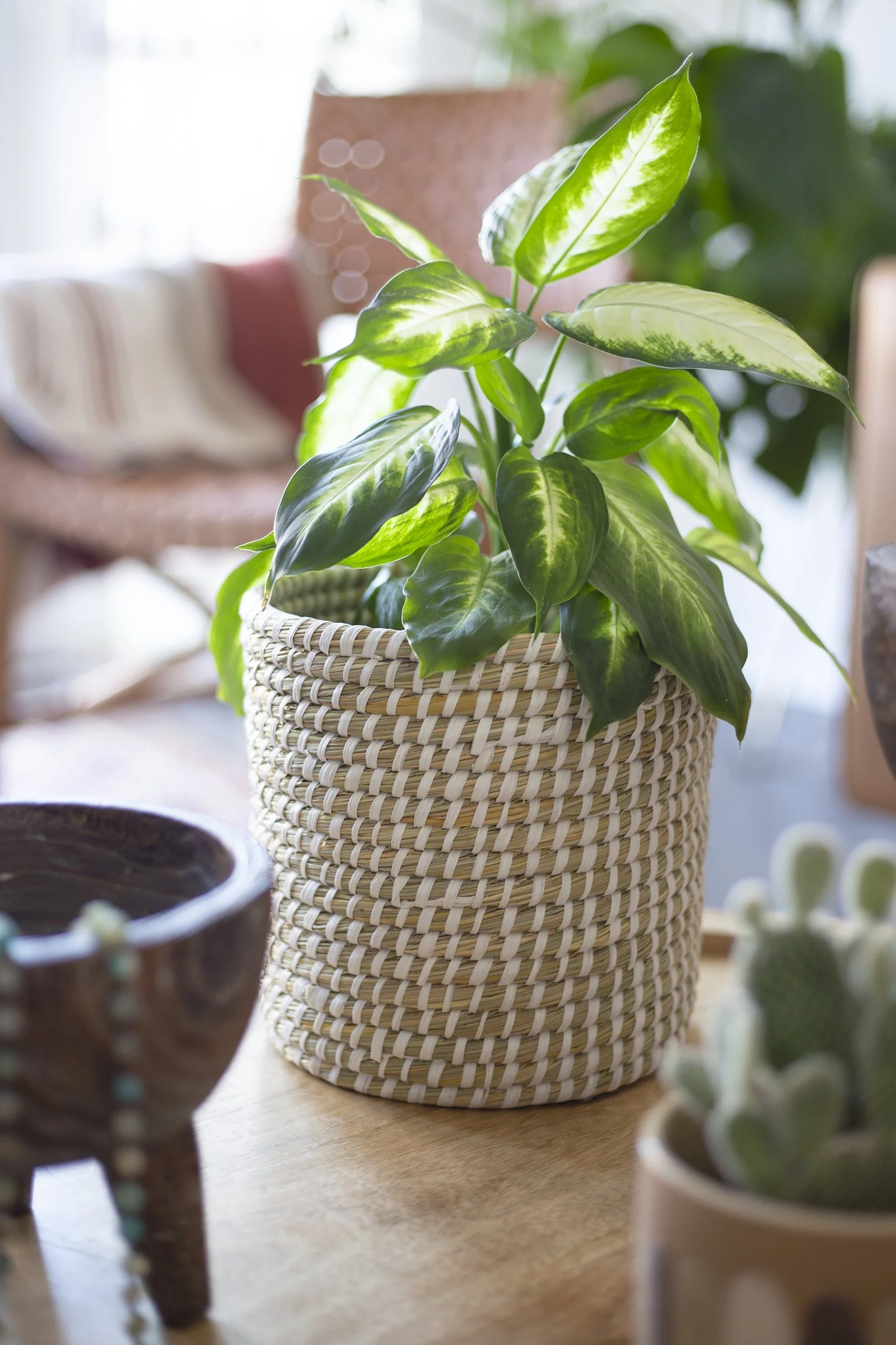 Fabric Plant Pot copy.jpg
