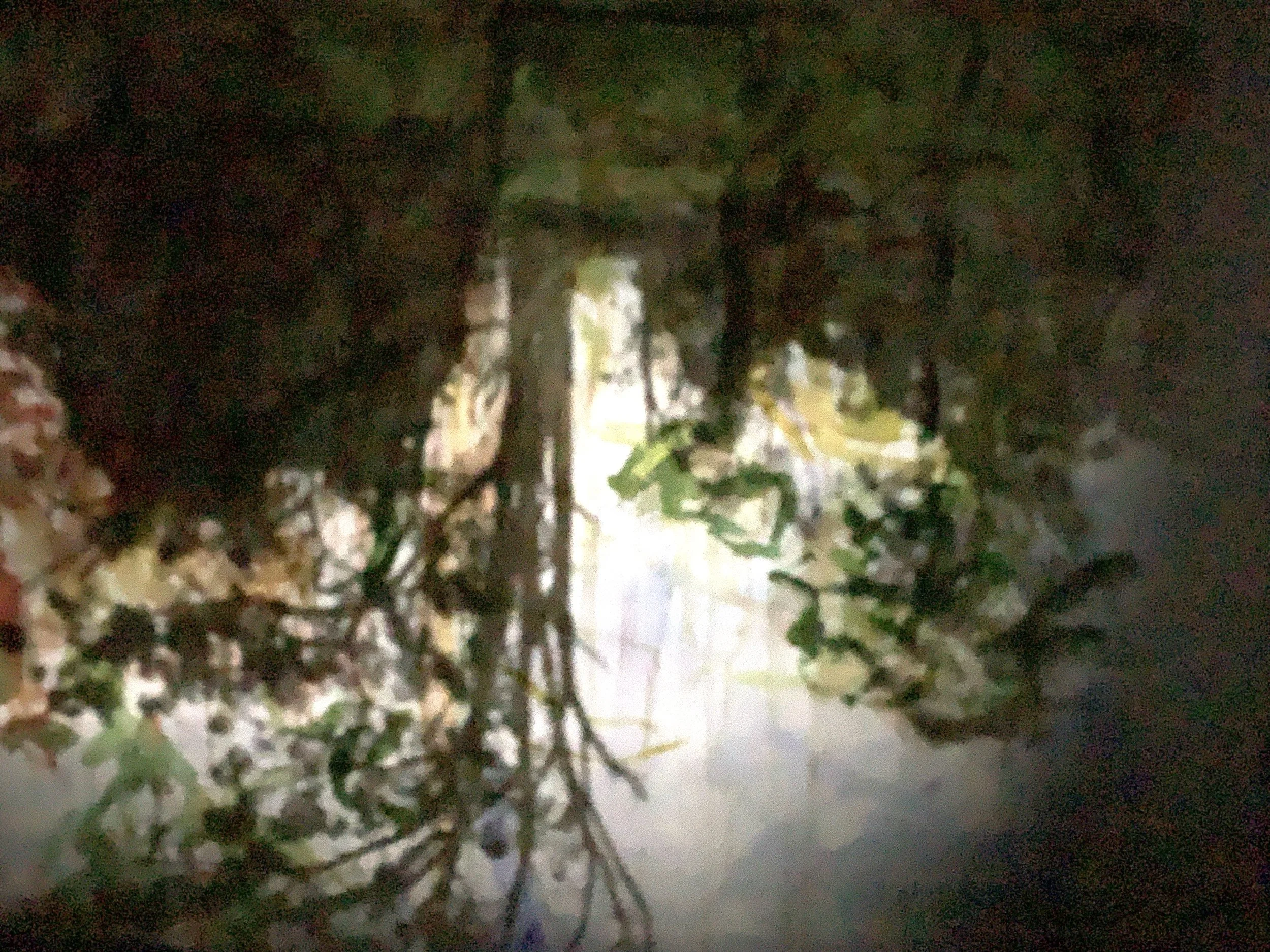 'Stumped, Dickie's Hill', 2024, 60.96 x 106.68 cm, digital print, $400