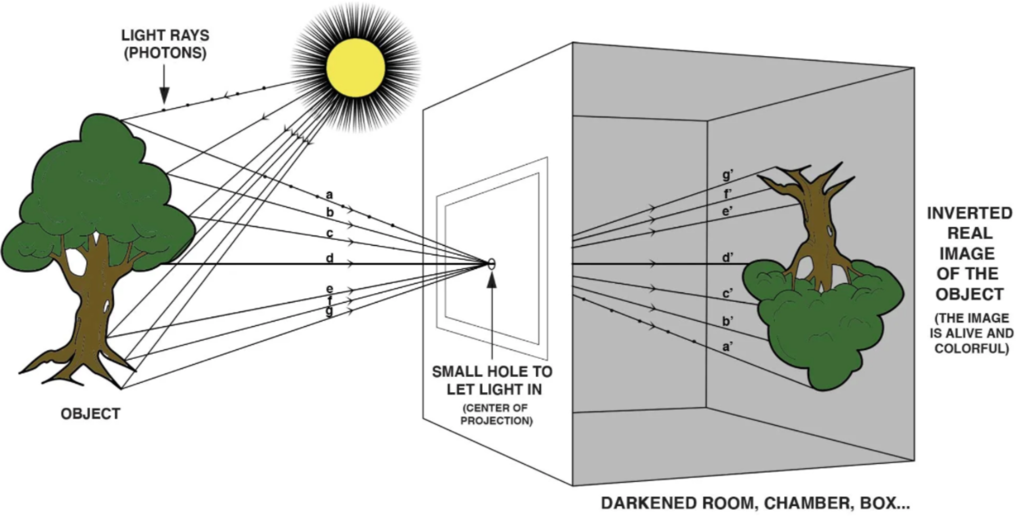 camera+obscura+.png