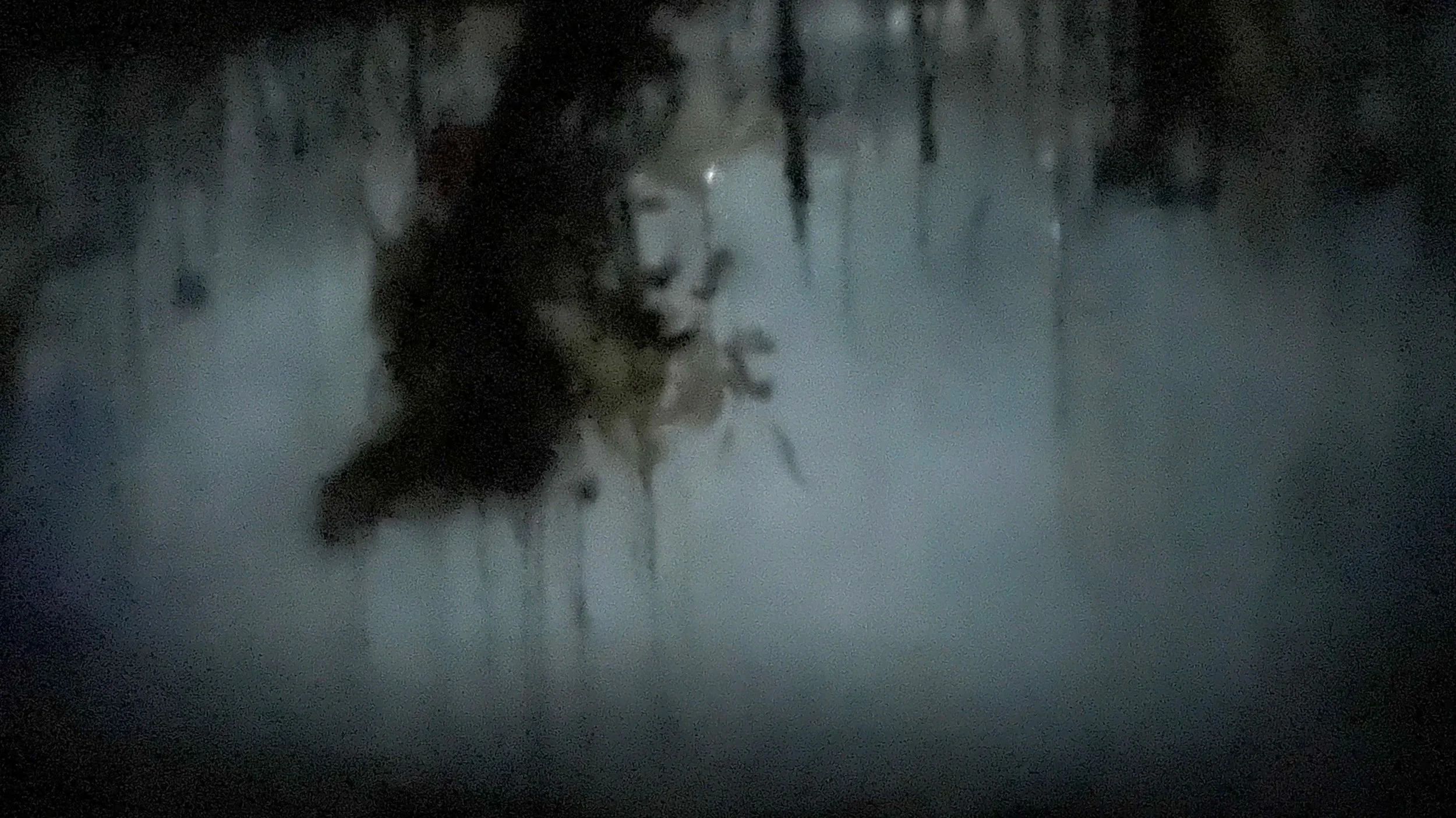 'Blue Mourning', 2024, 51 x 90 cm, digital print, $400