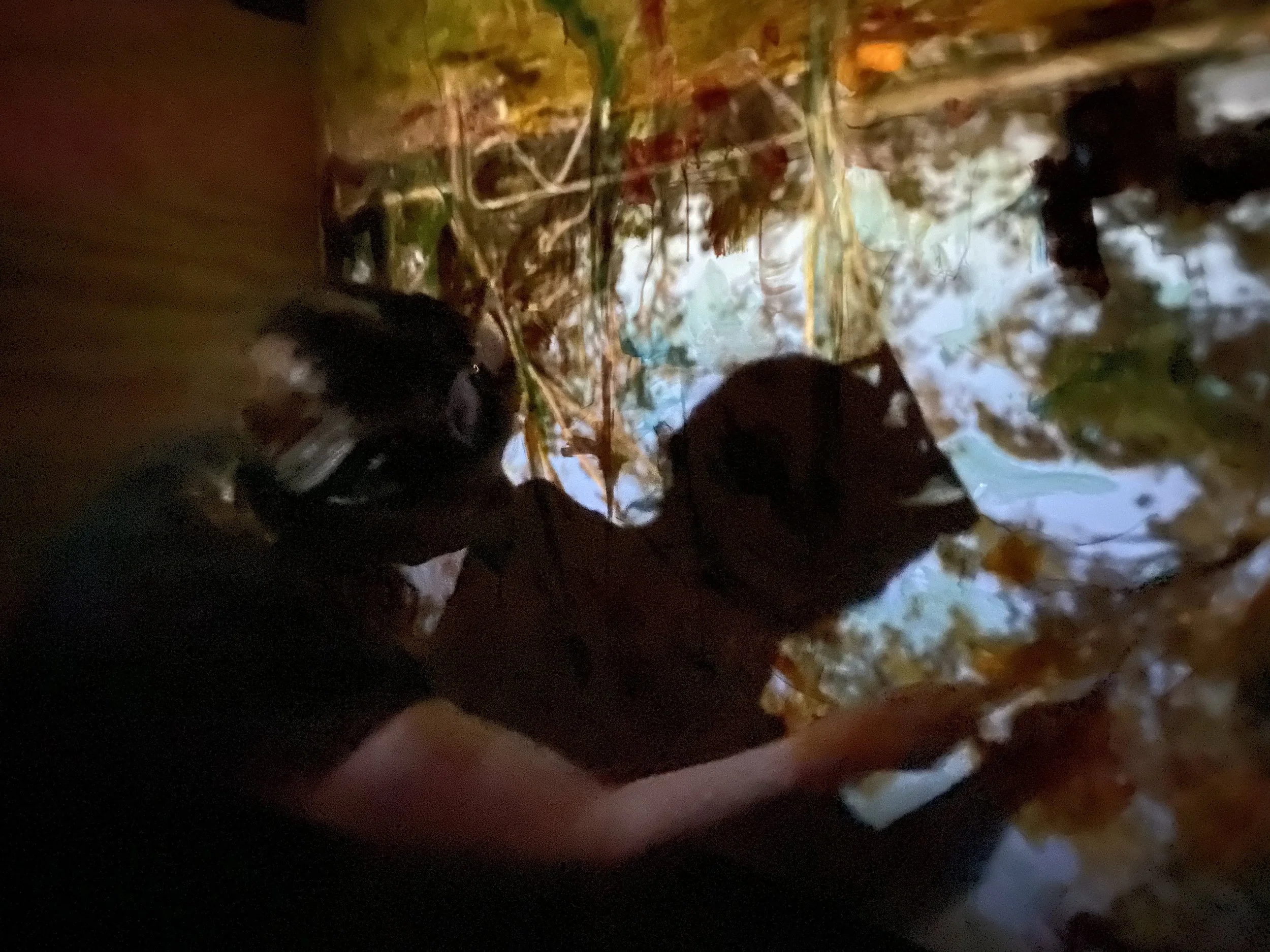 11_Karen Zipkas, Inside Obscura, 2024, Installation, MNorman copy.jpg