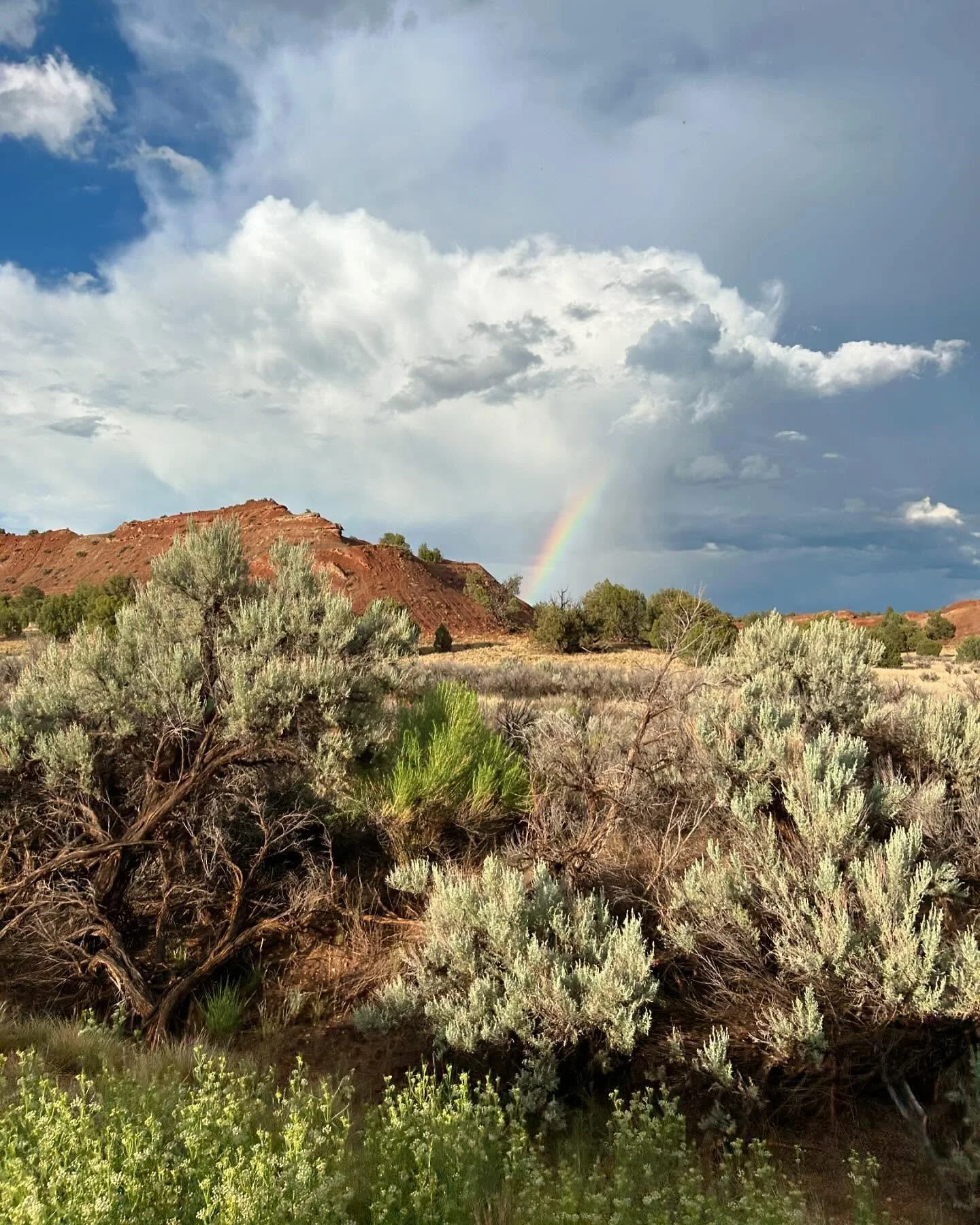 Strata originates in situ. Layered canyon walls, the color palettes of sunlight on sediment, sky, cactus spines, and landforms carved over geologic time all inform my designs. I handmake everything, sometimes even from my tiny camper on the road.