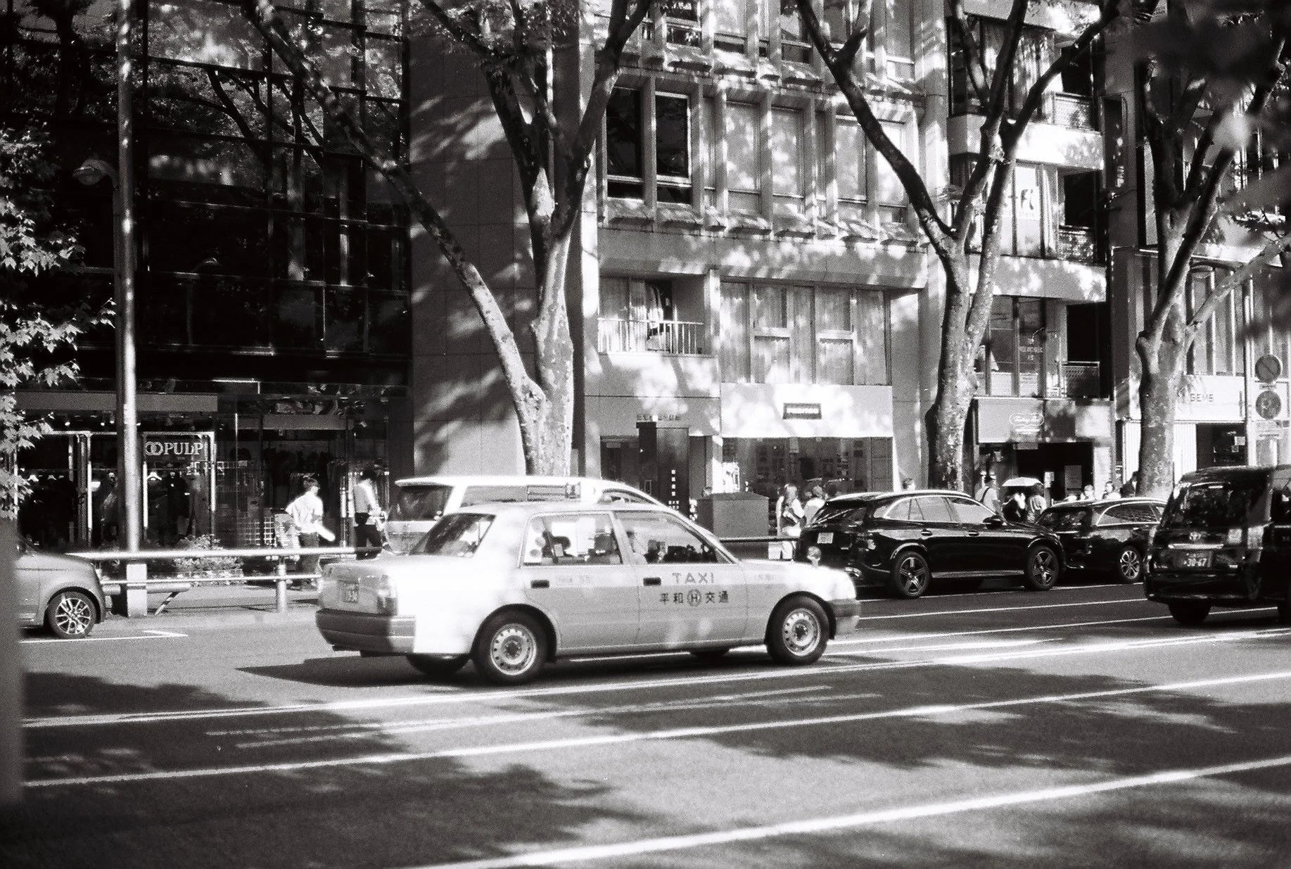 Black and white street scene with several parked cars and a taxi in the foreground. Pedestrians walking on the sidewalk, buildings with trees lining the street in the background, and shadows cast by the trees.