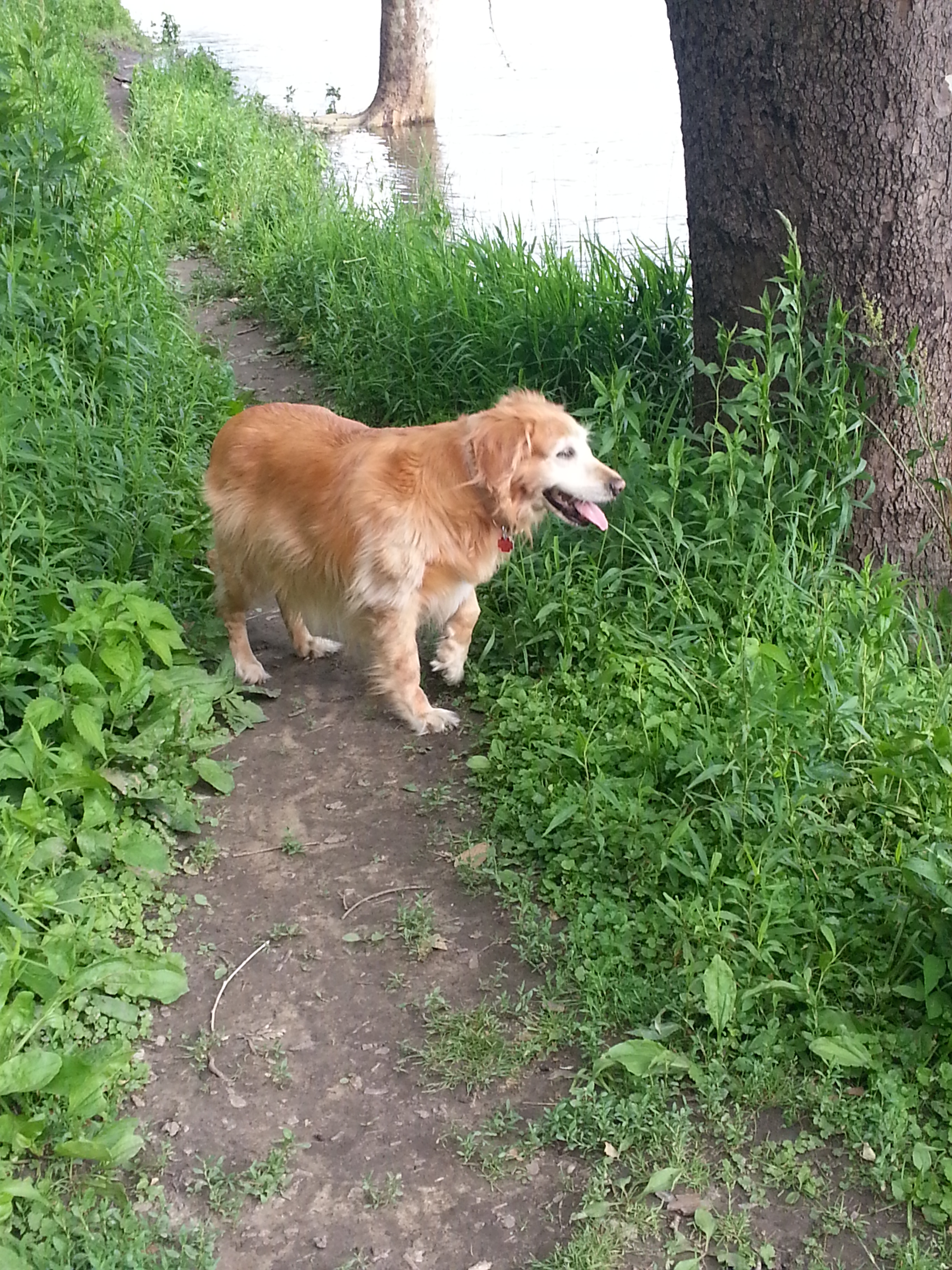 2014-06-15 18.21.36.jpg