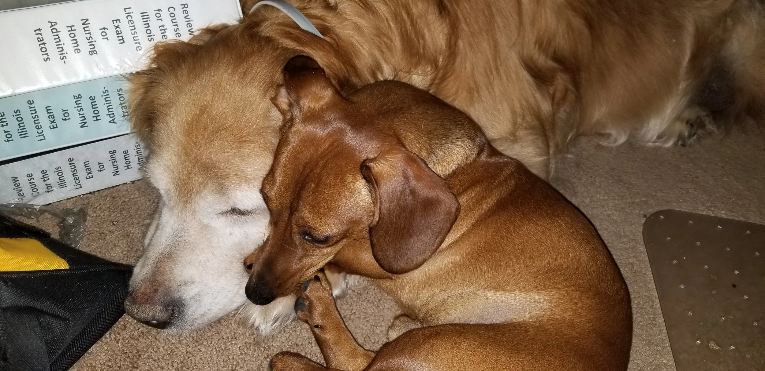 Henry and Daphne.jpg