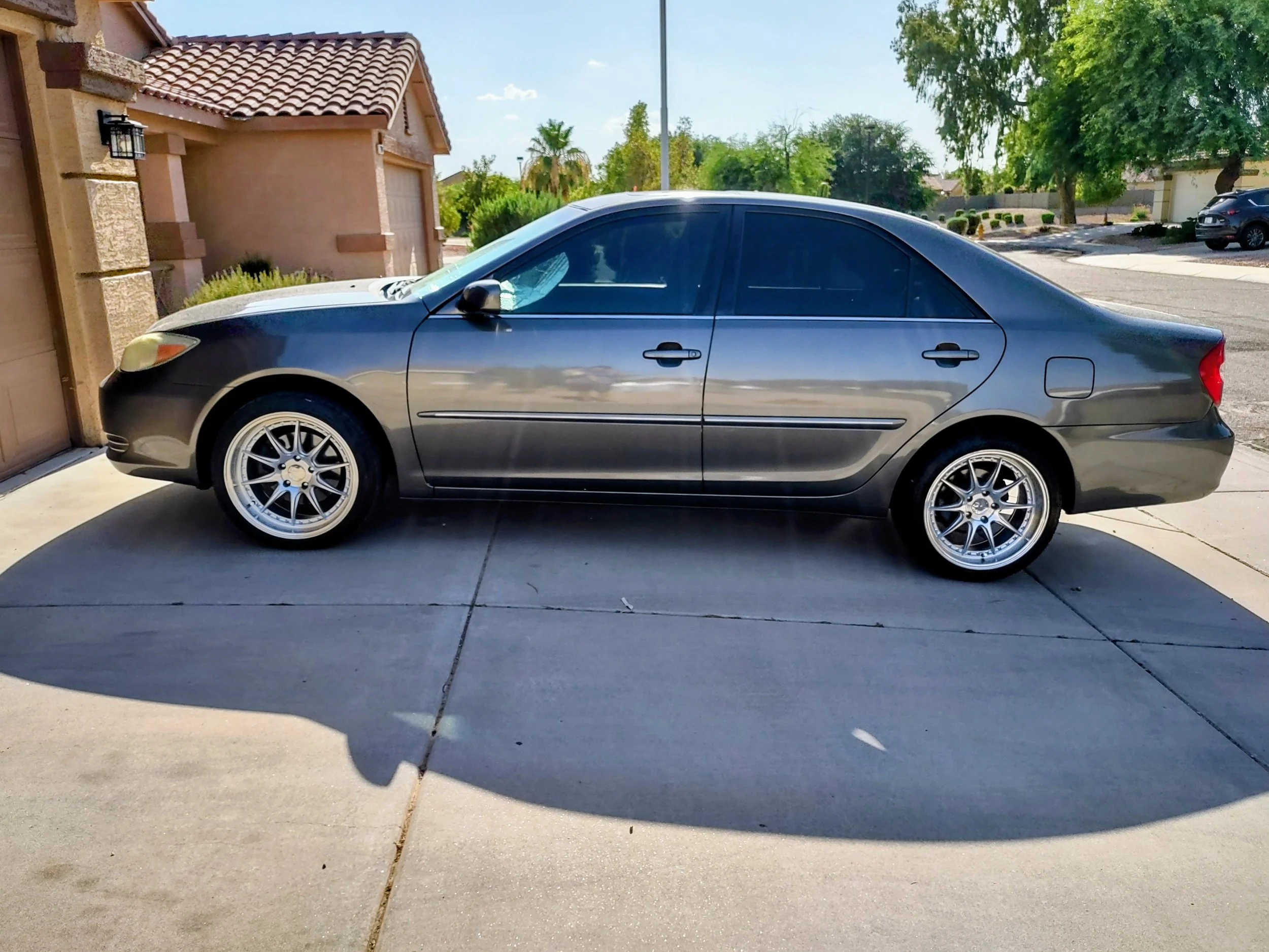 Black Belt Detail ( Premium )