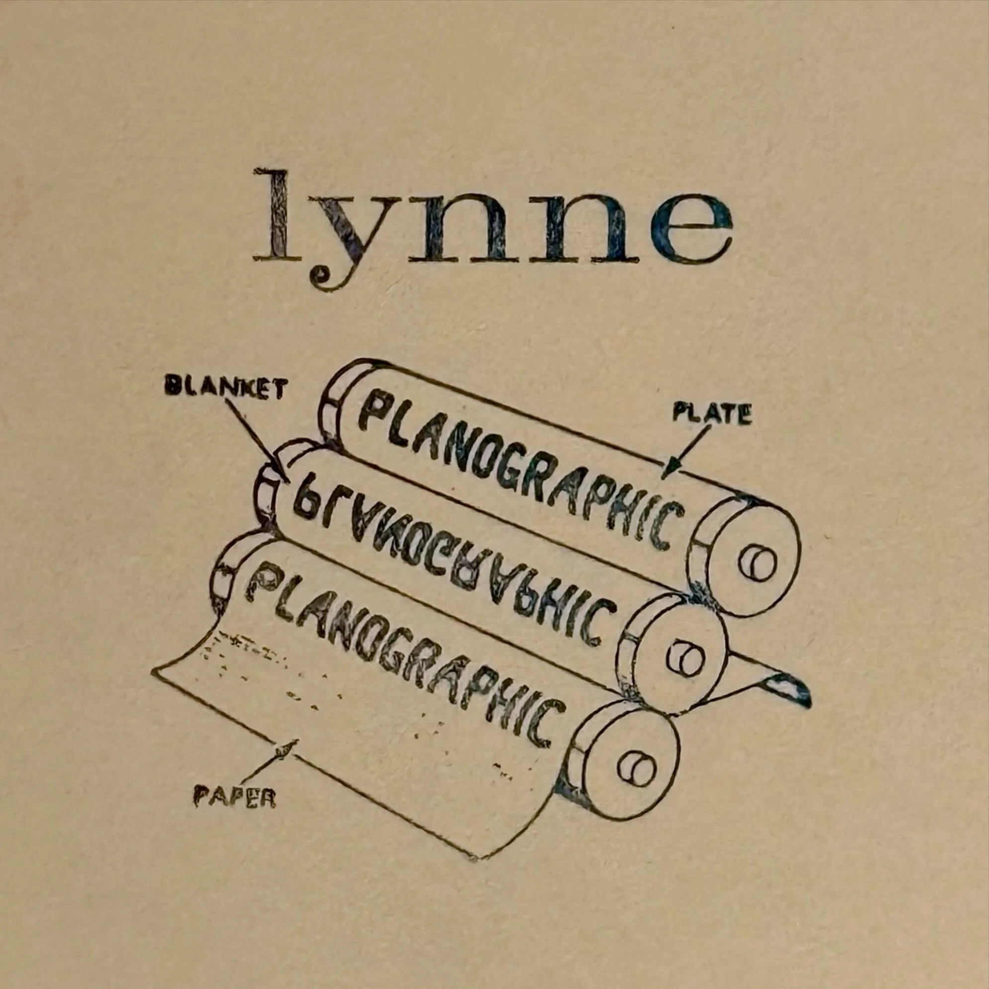 A diagram of planographic printing showing the word 'lynne' with labels pointing to plate, blanket, and paper.