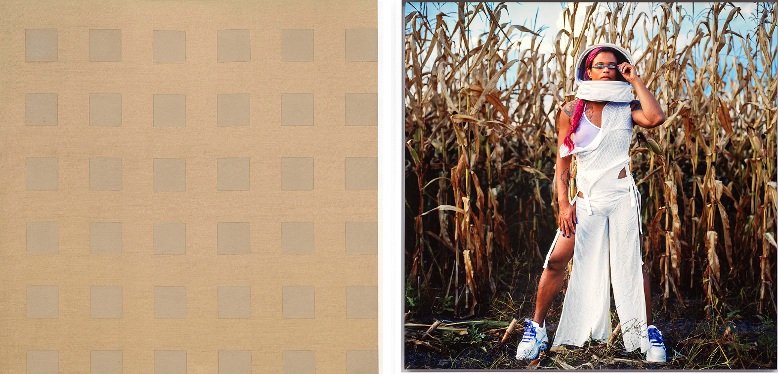 left: Merrill Wagner, Untitled, 1969; right: Tourmaline, Coral Hairstreak, 2020