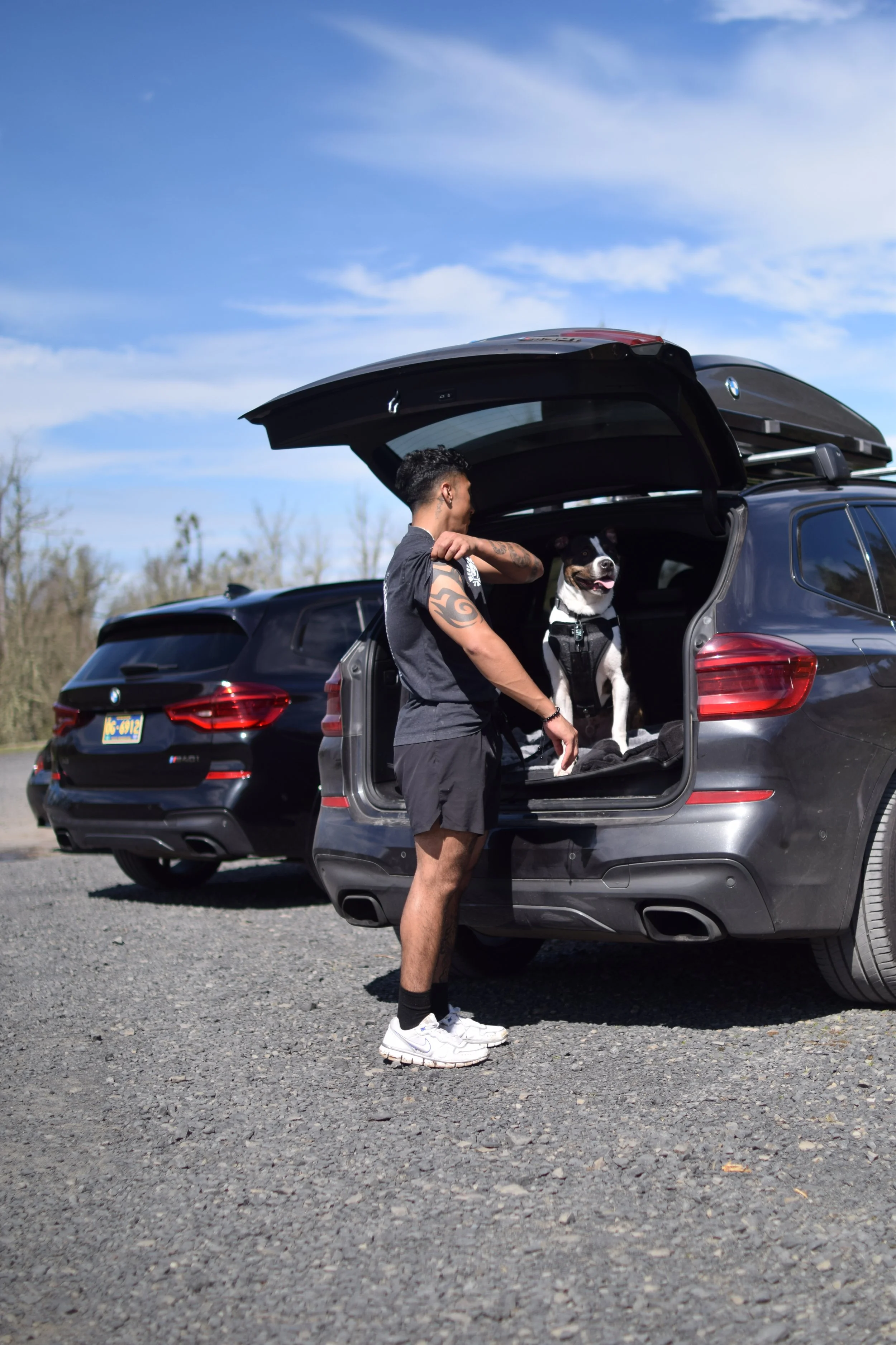 A man standing next to an open car trunk with a black and white dog sitting inside, in a parking lot on a sunny day.
