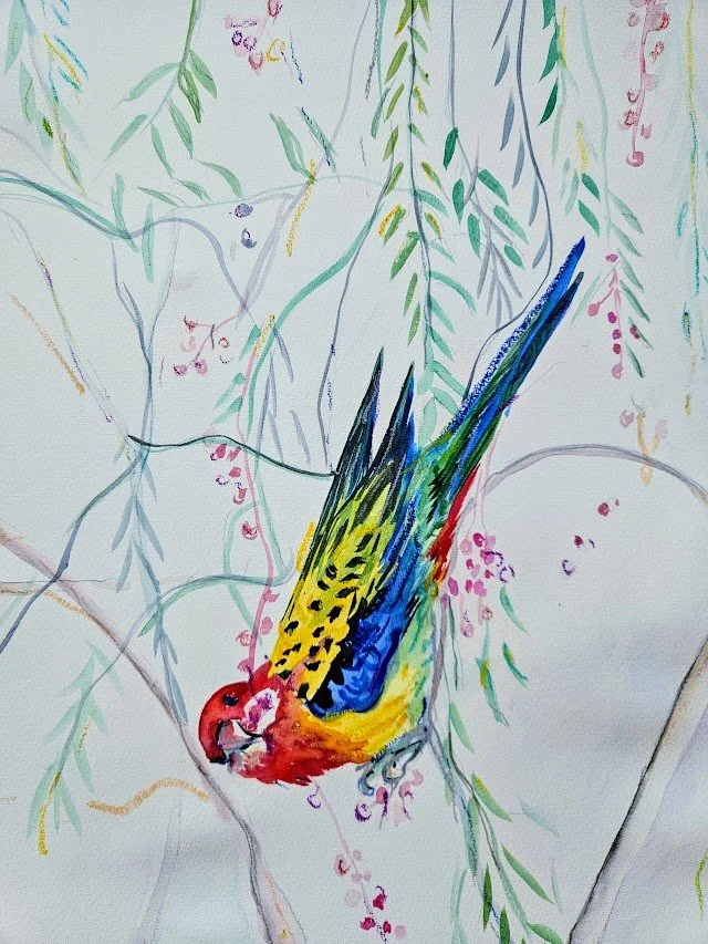"Eastern Rosella"
A2 size