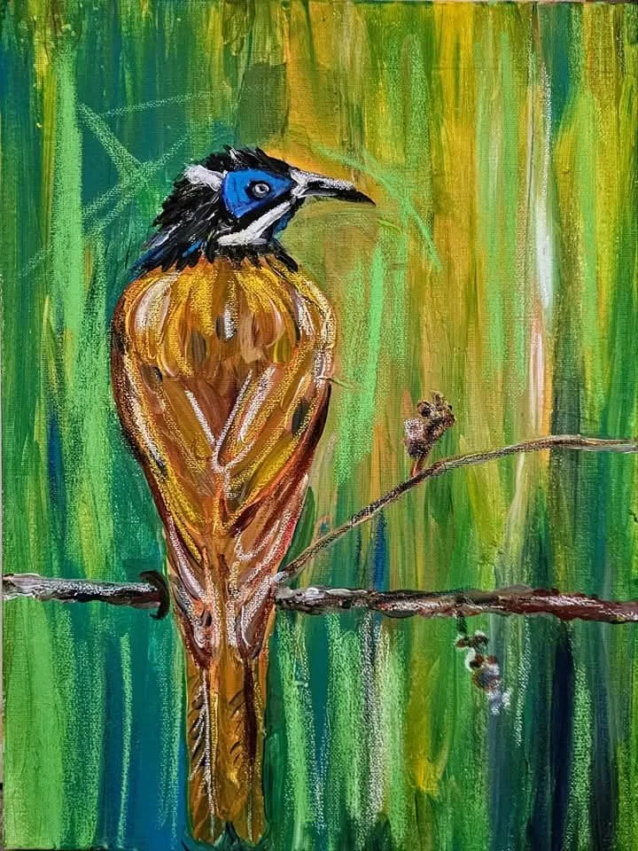 Blue Faced Honeyeater 31x41cm