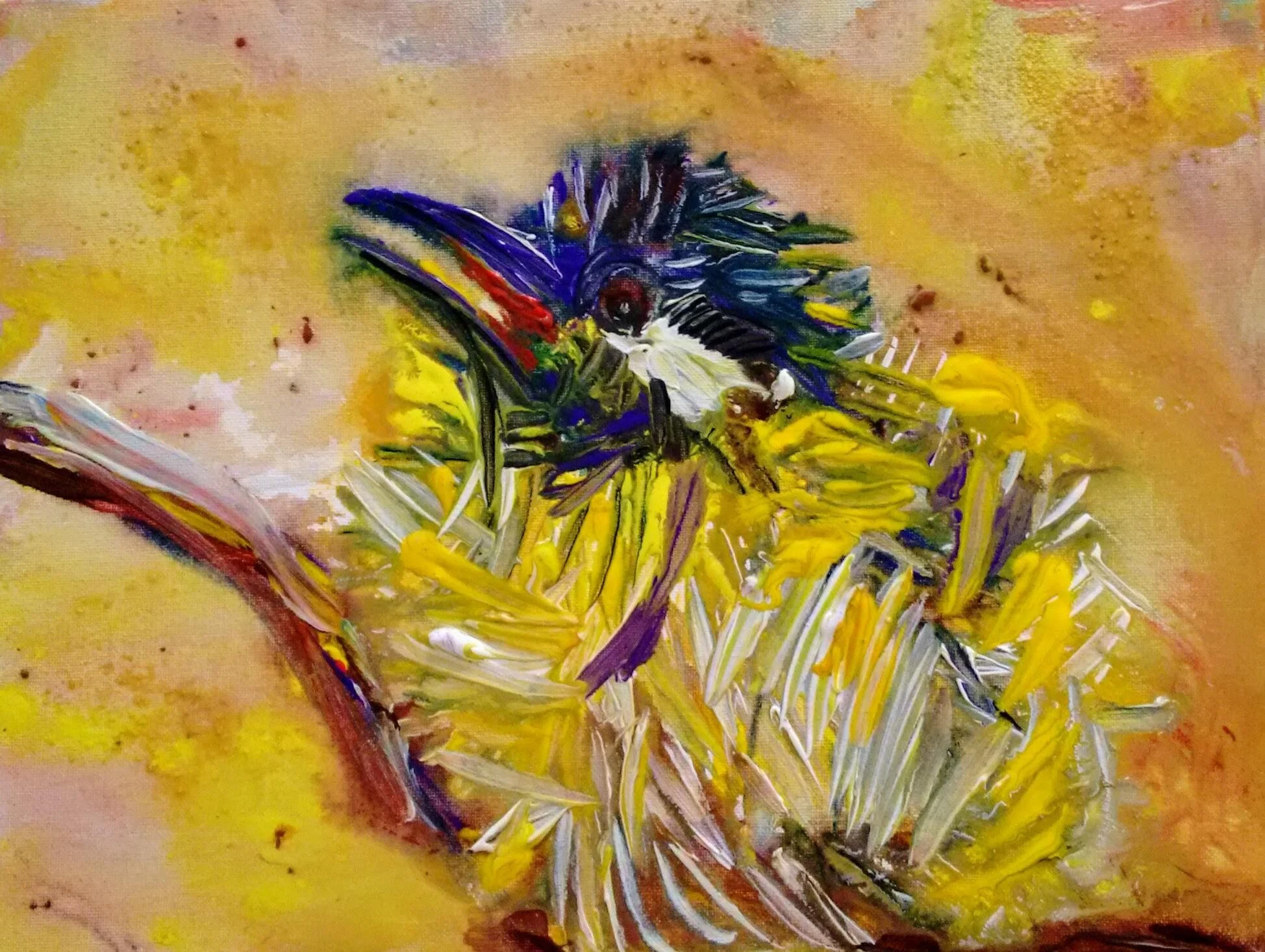 "White Eared Honeyeater"
A3