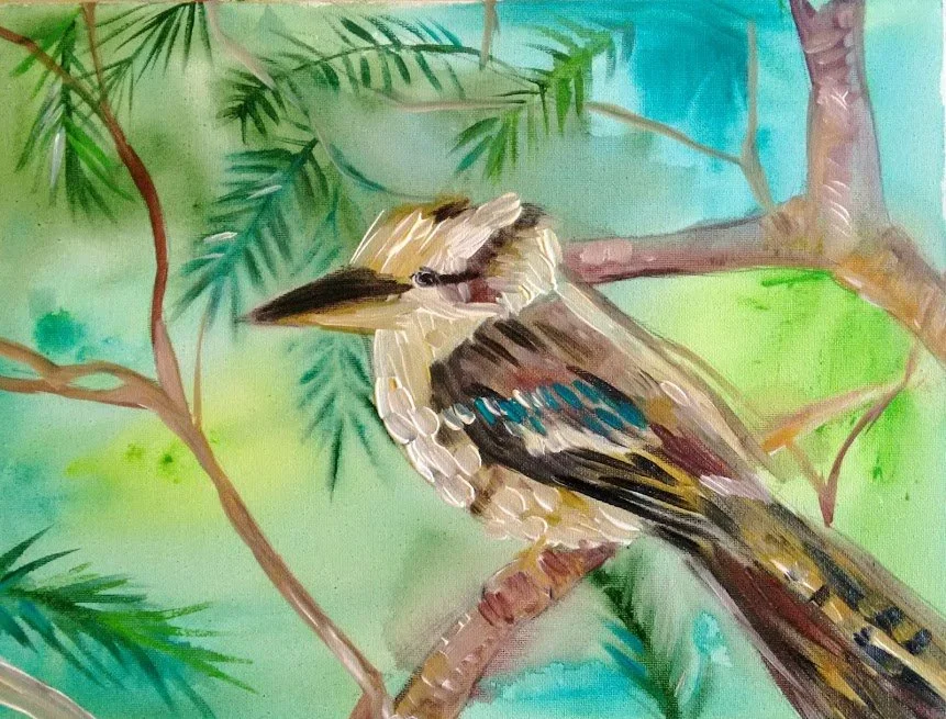 "Kookaburra" 30x40cm