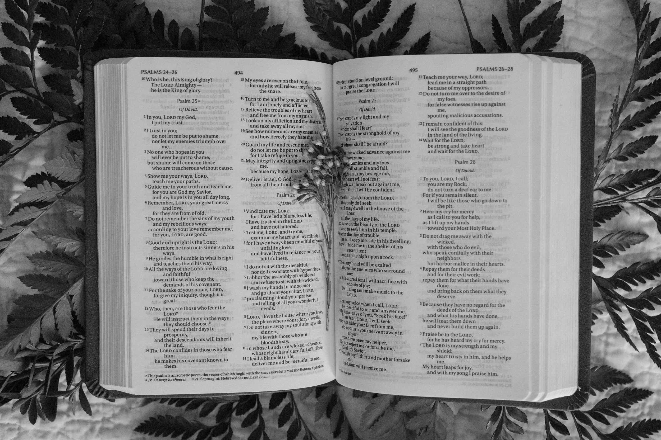 Why the Psalms Still Matter