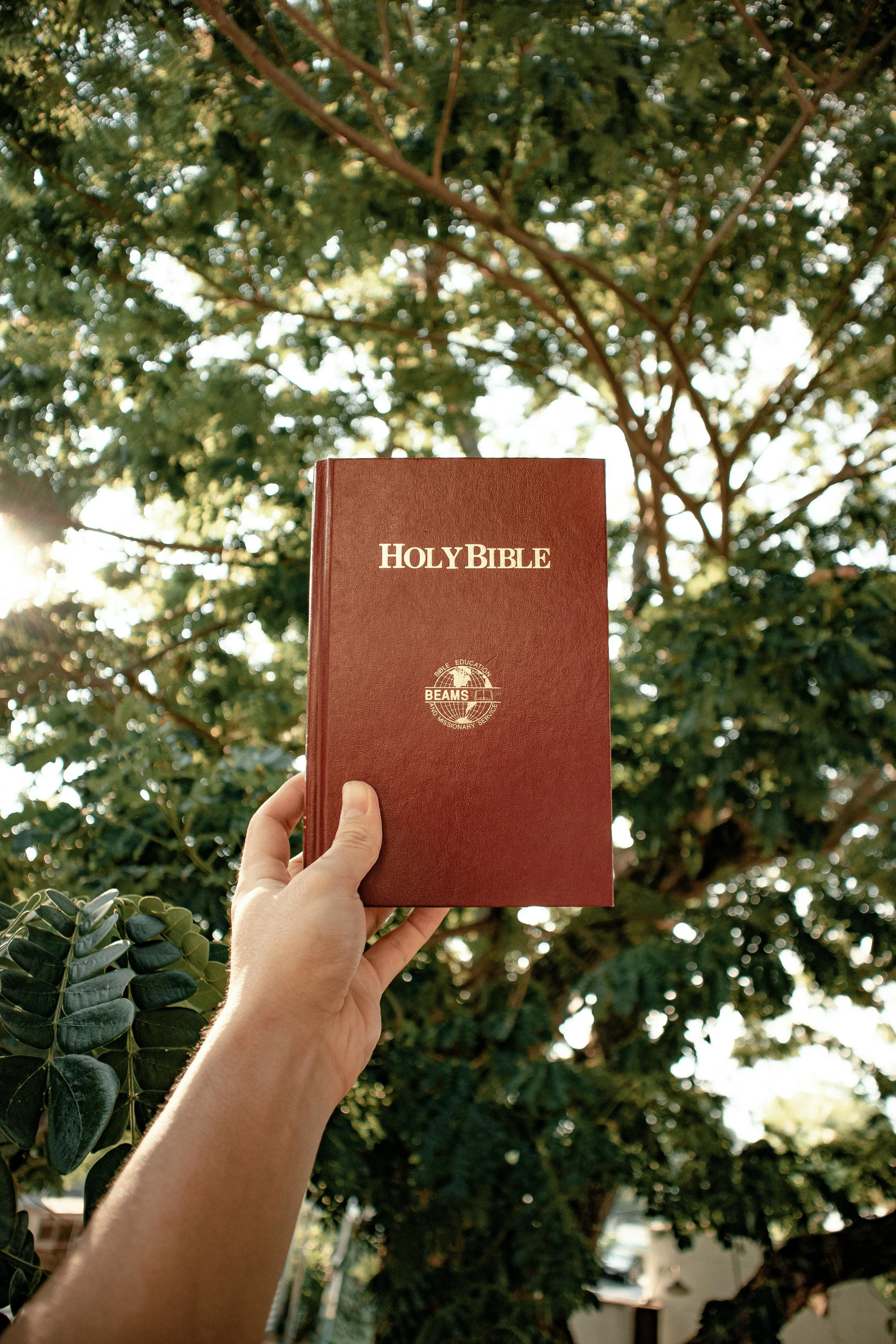 The Sense of Awe in Scripture