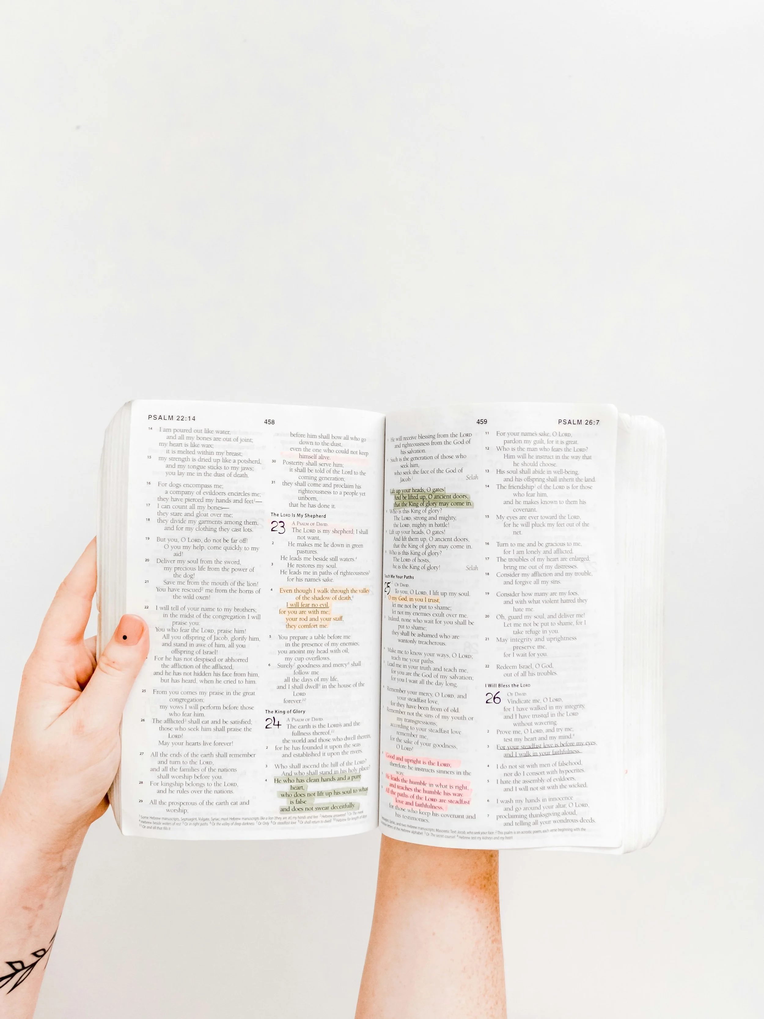 Open Bible in a person's hands, with one hand holding the left side and another hand holding the right side, against a white background.