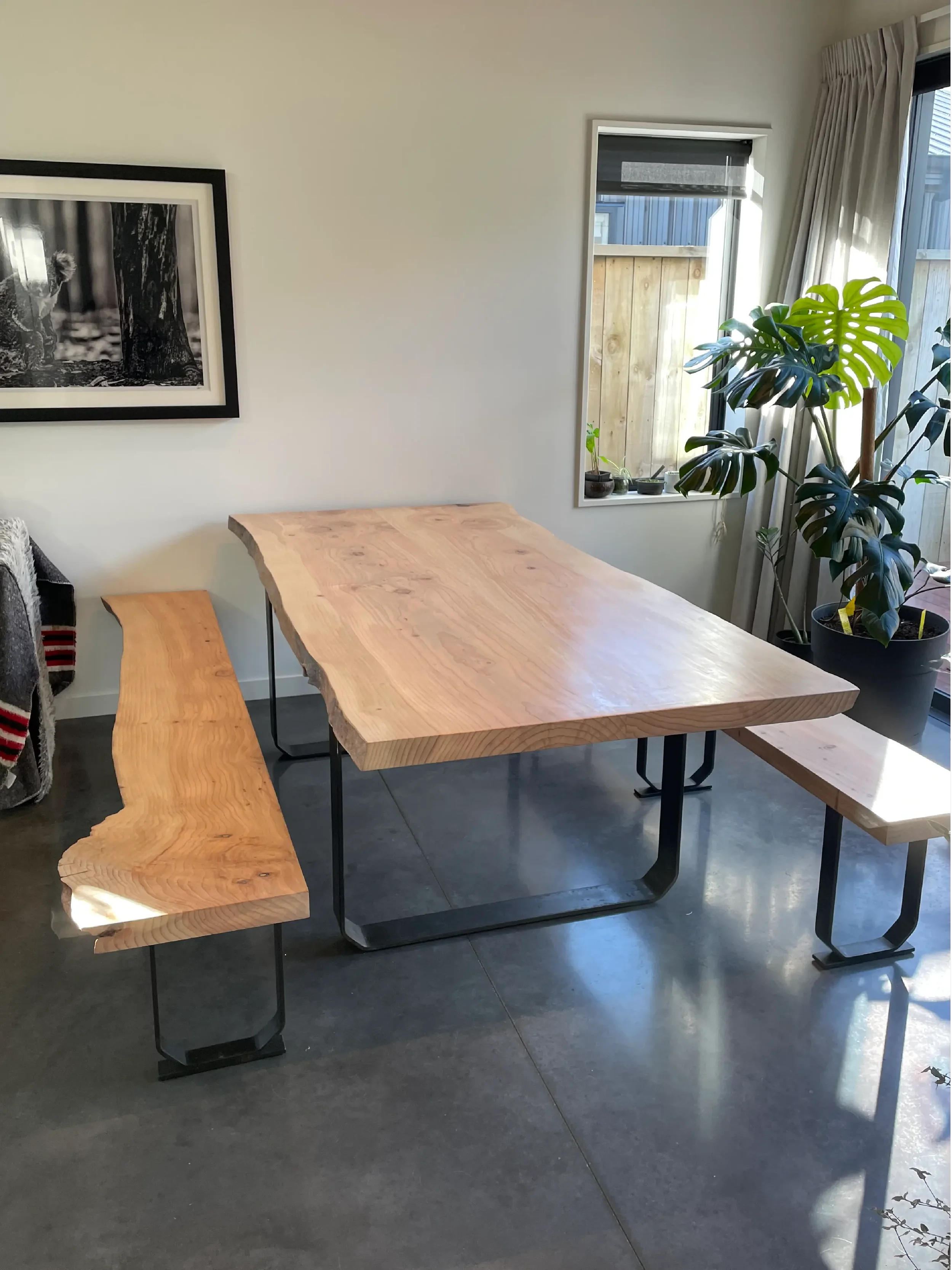 Photo of a wooden dining table with a live edge, surrounded by a matching bench and chairs, in a modern room with large windows and potted plants.