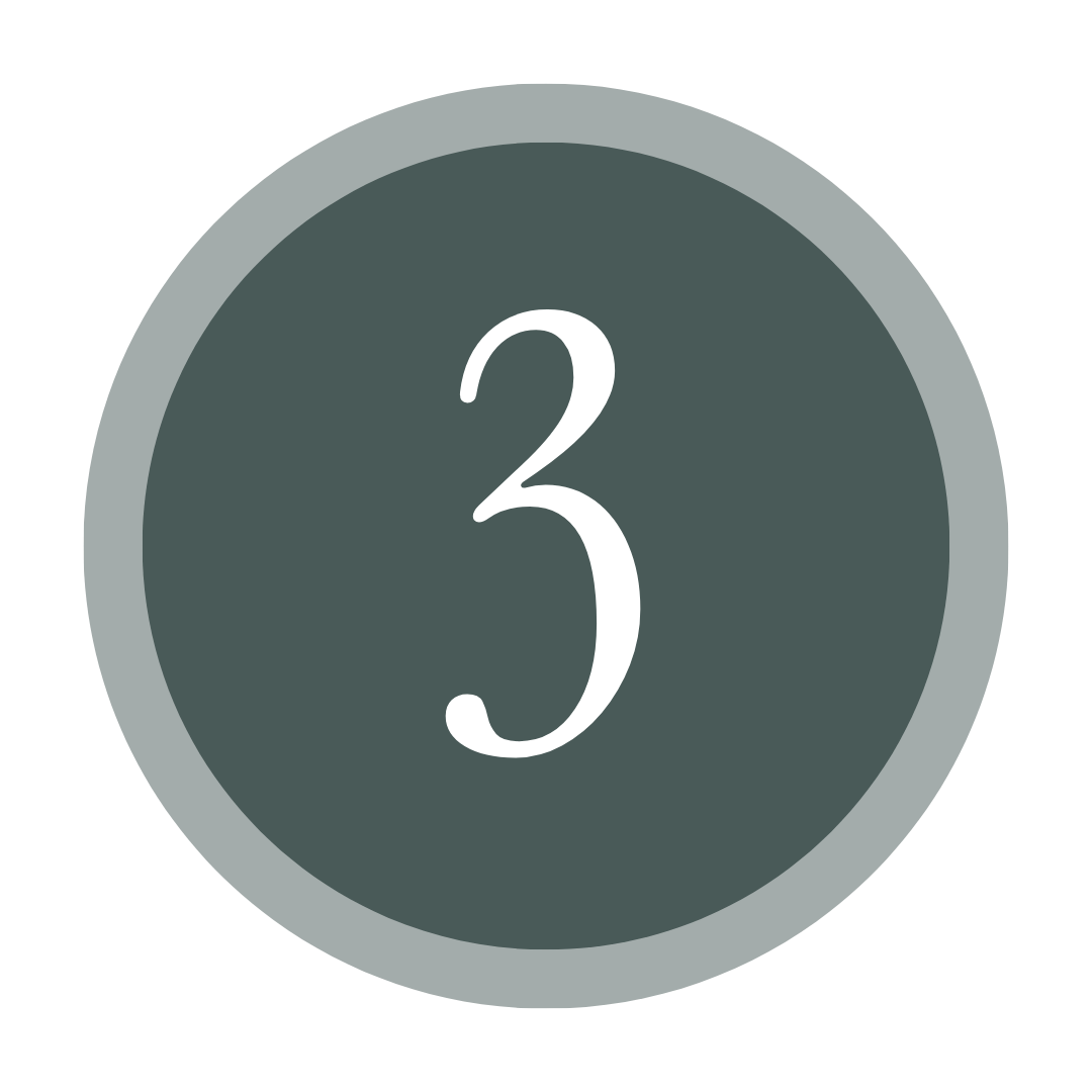 Gray circular timer with the number 3 in the center.