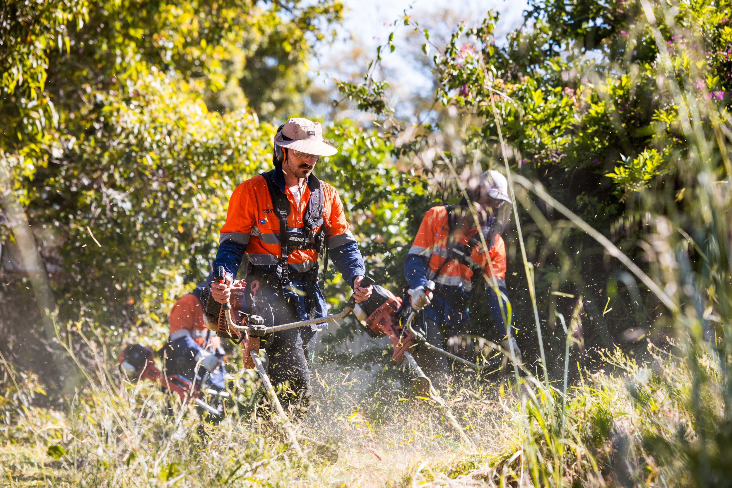 Workers in orange safety gear using string trimmers to clear tall grass and weeds outdoors.