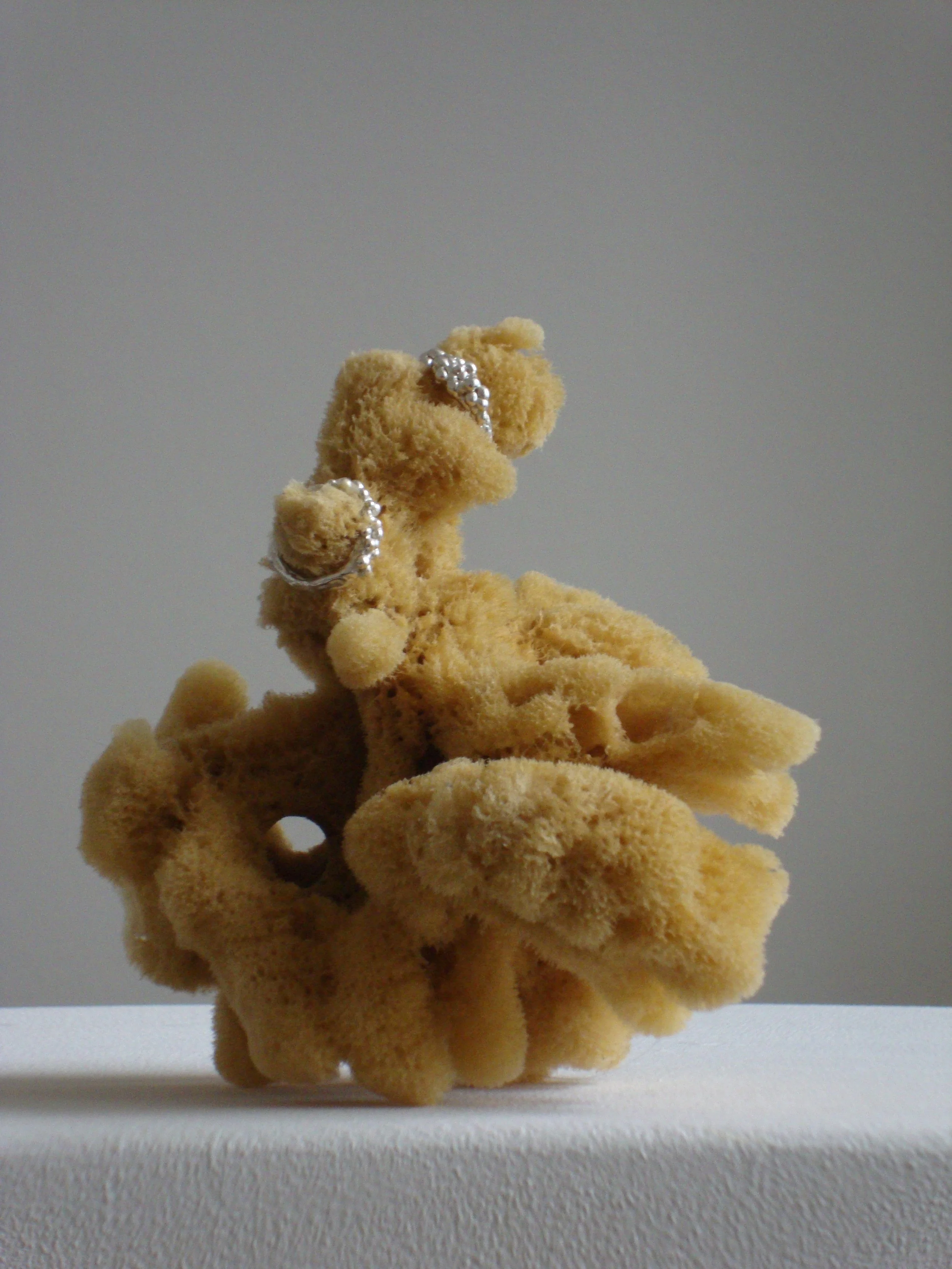 Small plush bear holding a silver bracelet on a white platform with gray background.