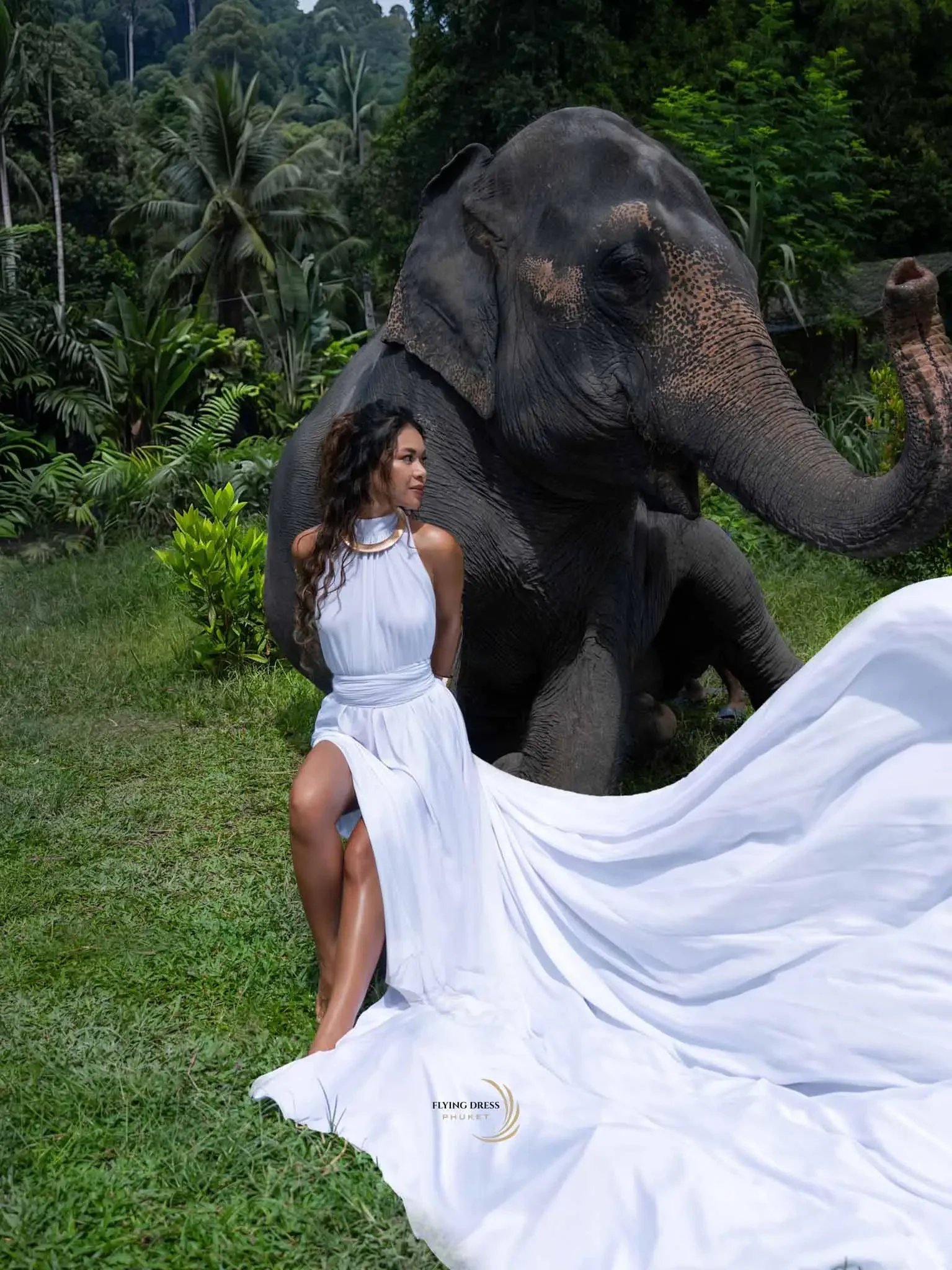 white-dress-elephant-photoshoot-phuket.webp