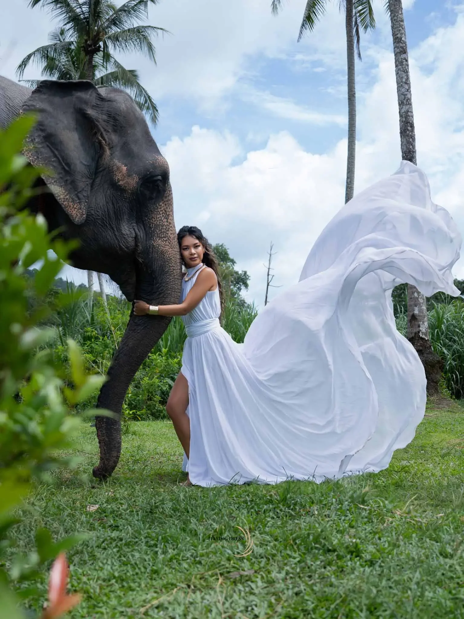 luxury-elephant-flying-dress-phuket.webp