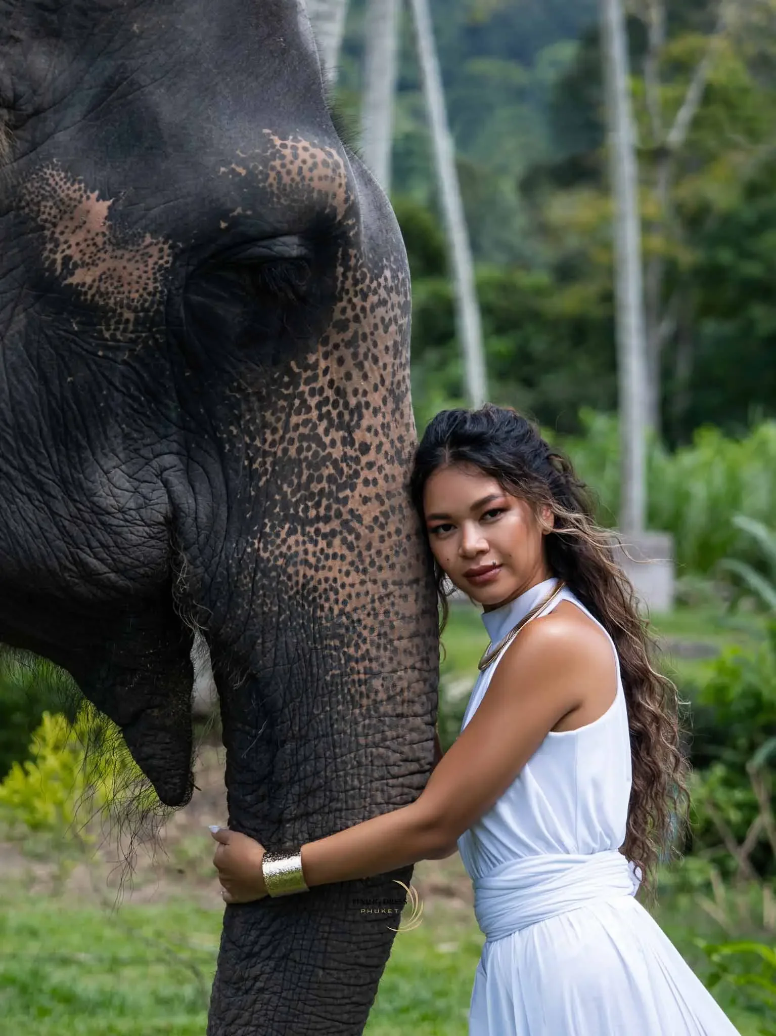 phuket-elephant-photoshoot-flying-dress.webp