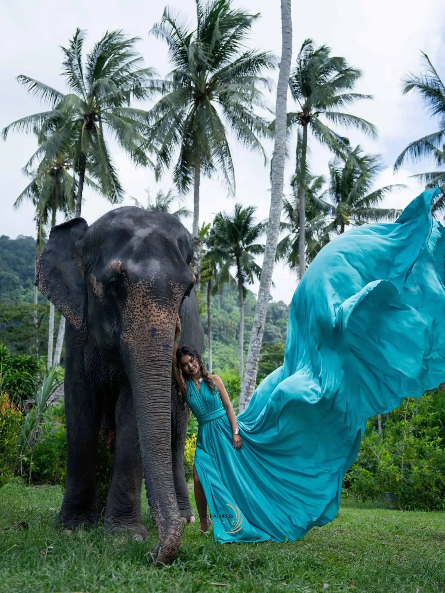 flying-dress-elephant-experience-phuket.webp