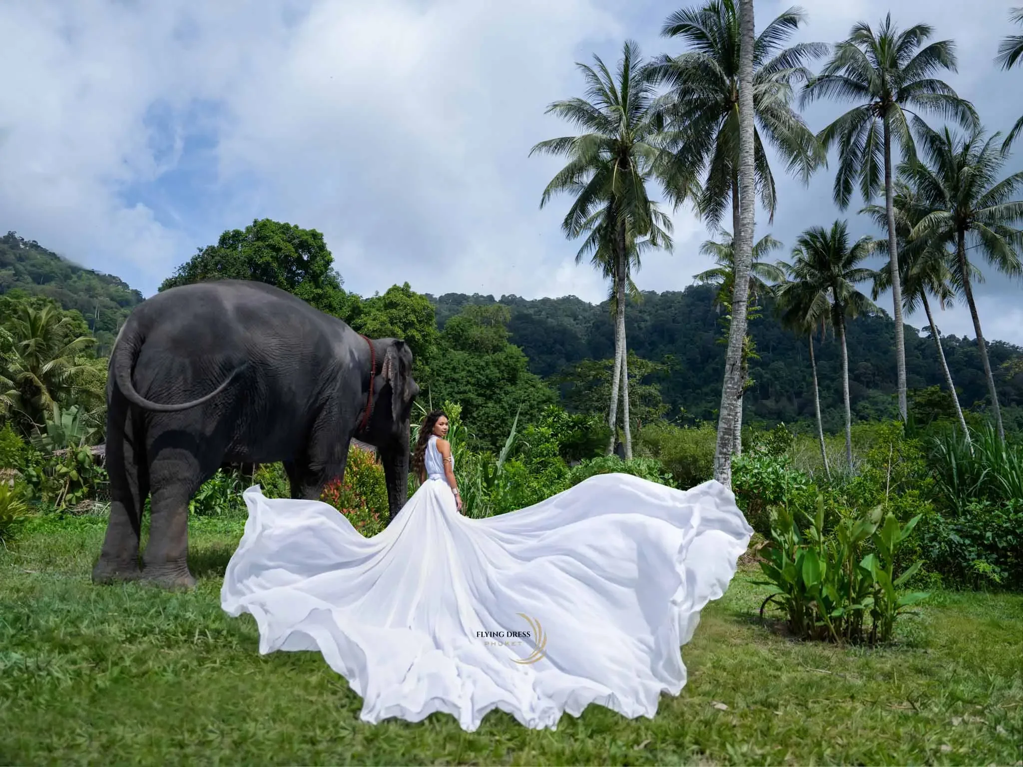 elephant-photoshoot-experience-phuket.webp