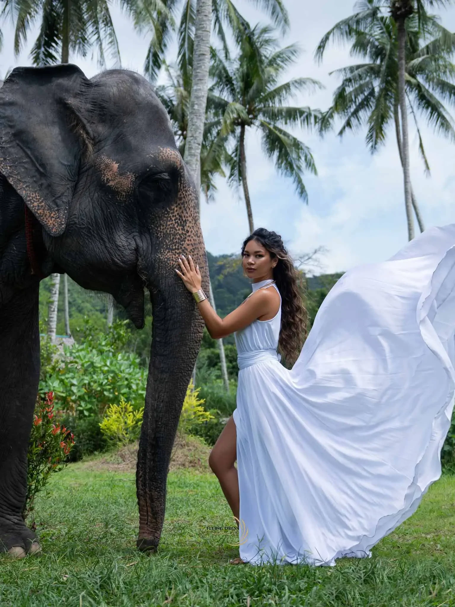 elephant-flying-dress-experience-thailand.webp