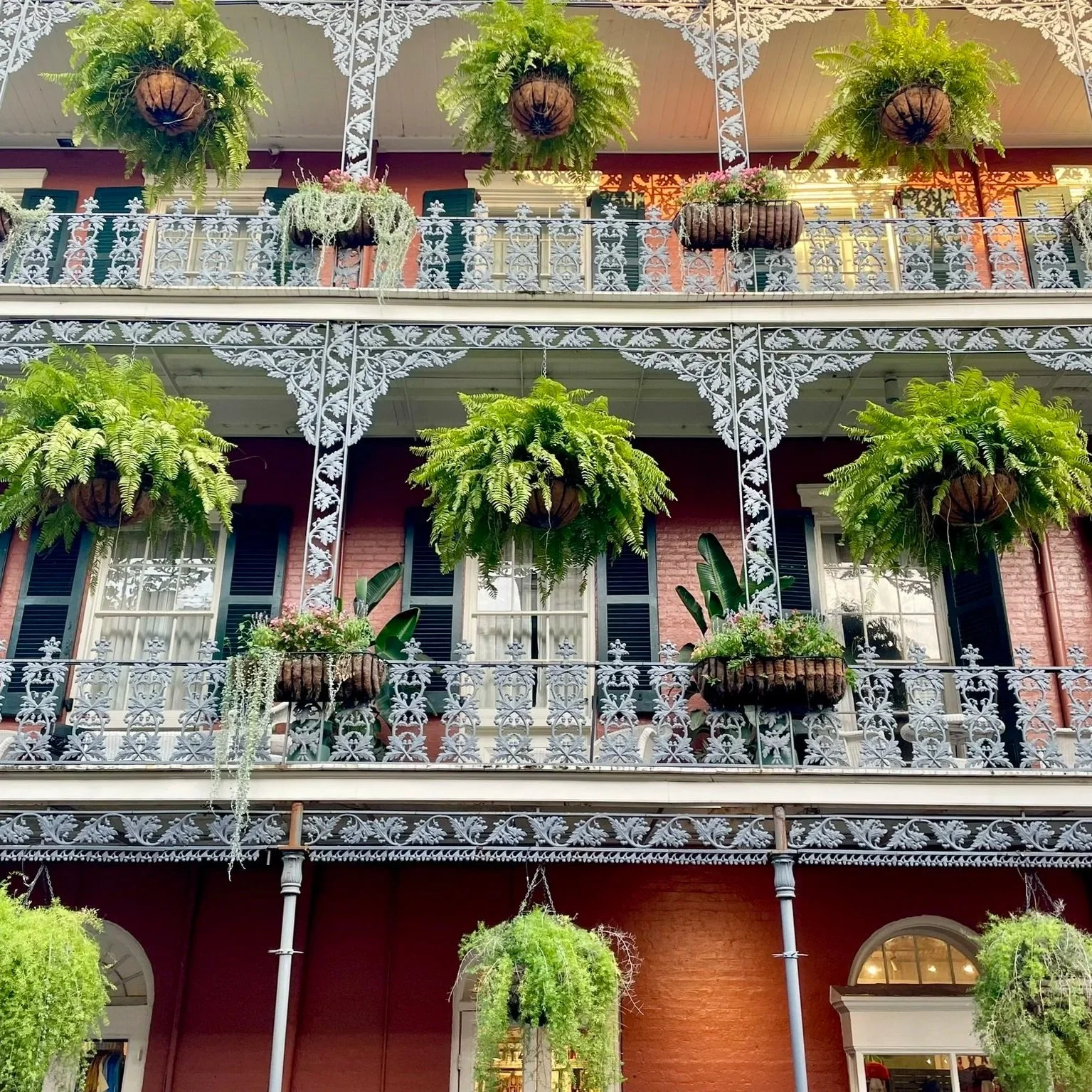 NOLA