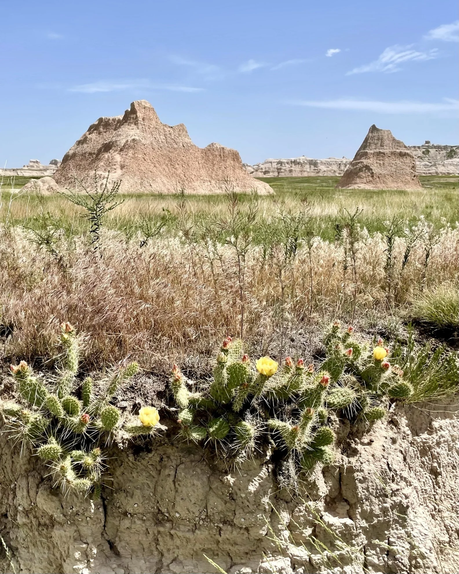 BADLANDS