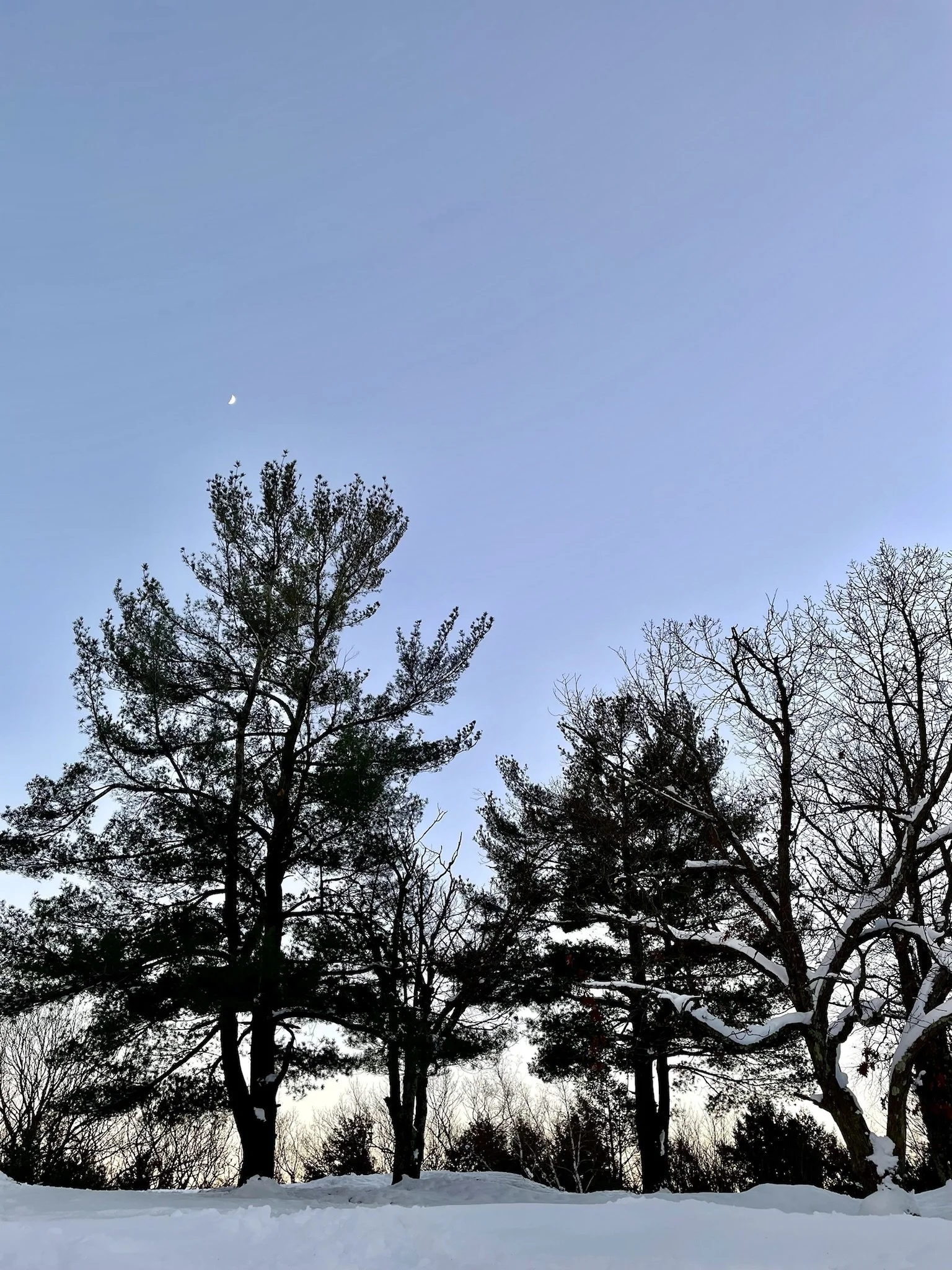 IMG_5719.JPEG