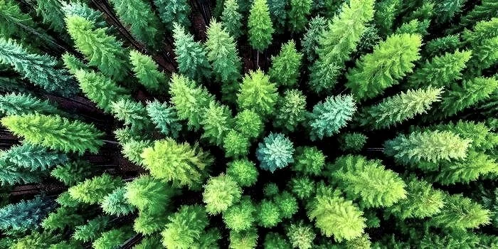 Legacy, community working together, support, like minded, high achievers, wisdom, self led, common goals, growth mindset