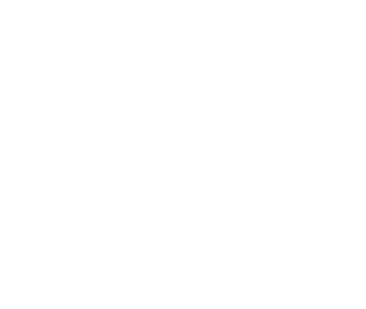 Empty white background with no visible objects or text.