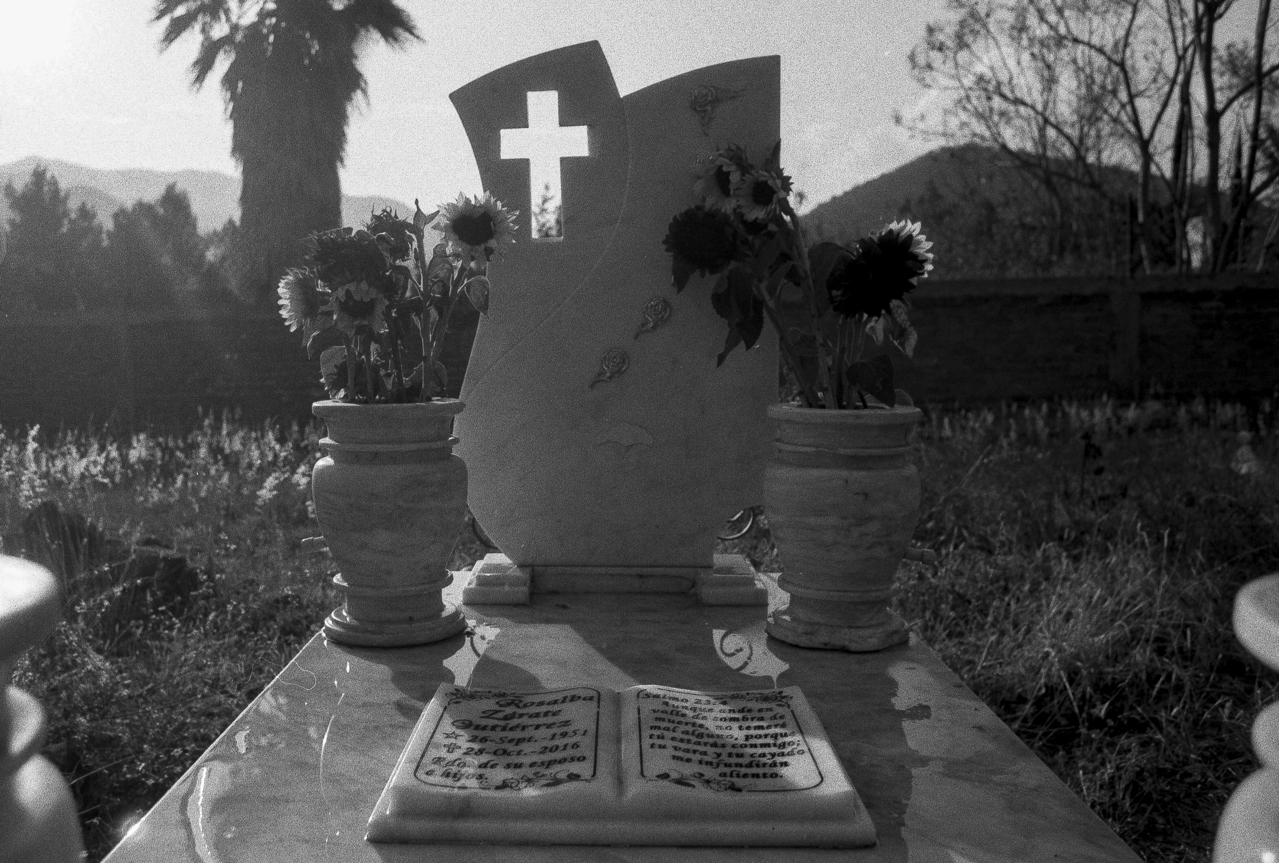Abuelita Rosalba Zarate-Descanza En Paz